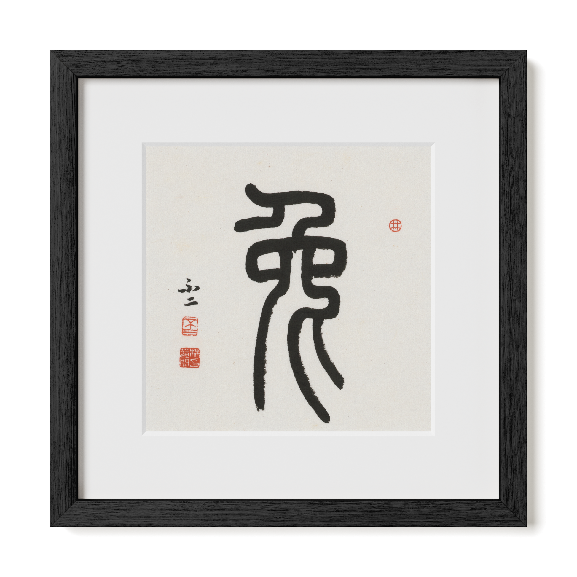Thumbnail Label: 12X12" Black Premium Oak | Gallery Source: Transparent