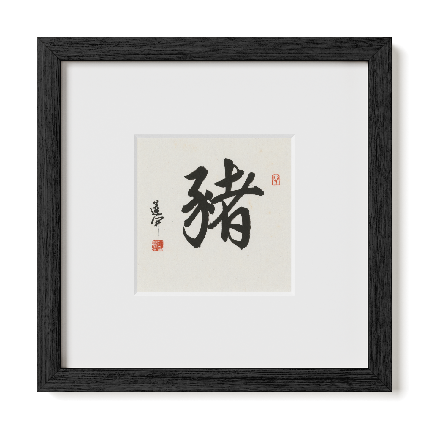 Thumbnail Label: 10X10" Black Premium Oak | Gallery Source: Transparent