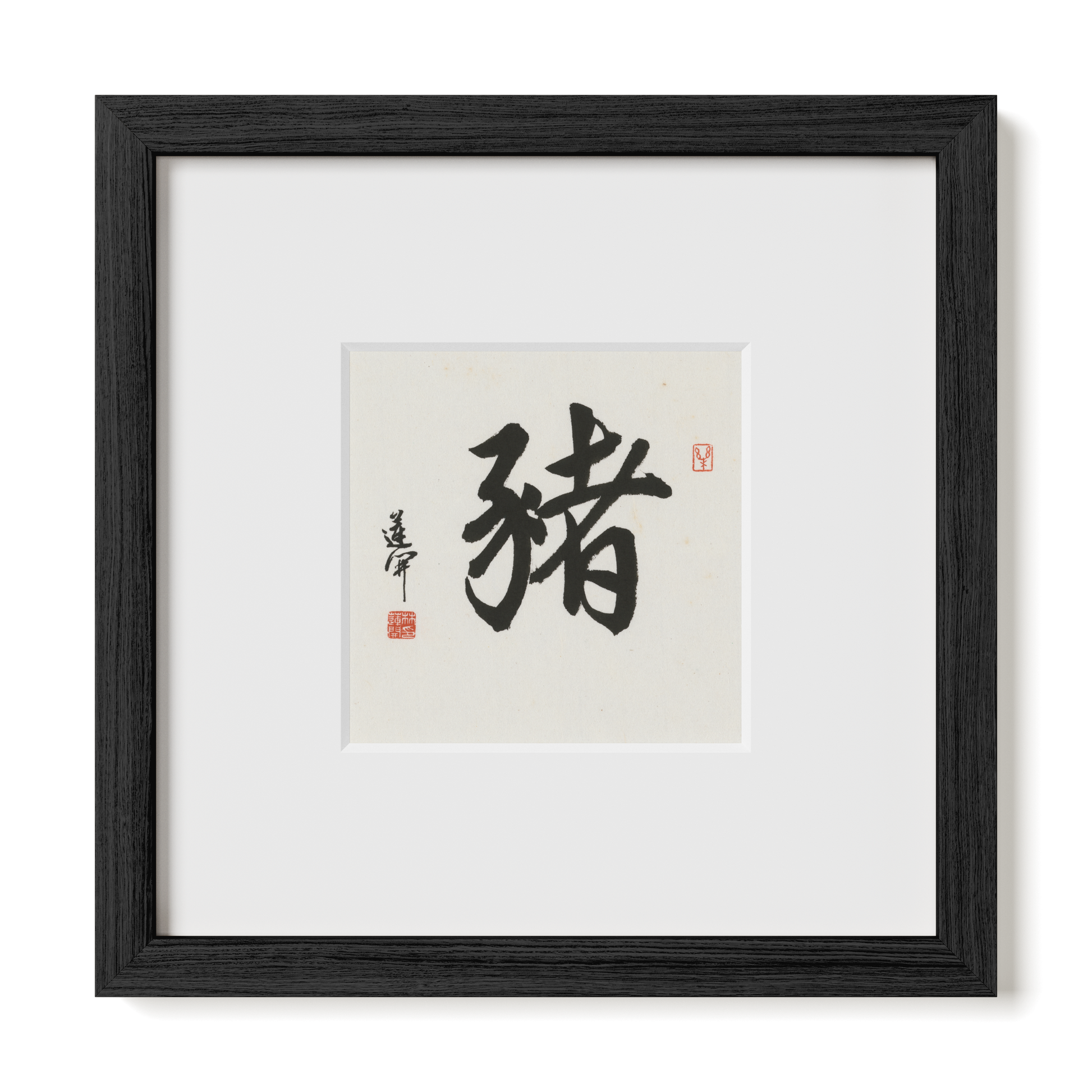 Thumbnail Label: 10X10" Black Premium Oak | Gallery Source: Transparent