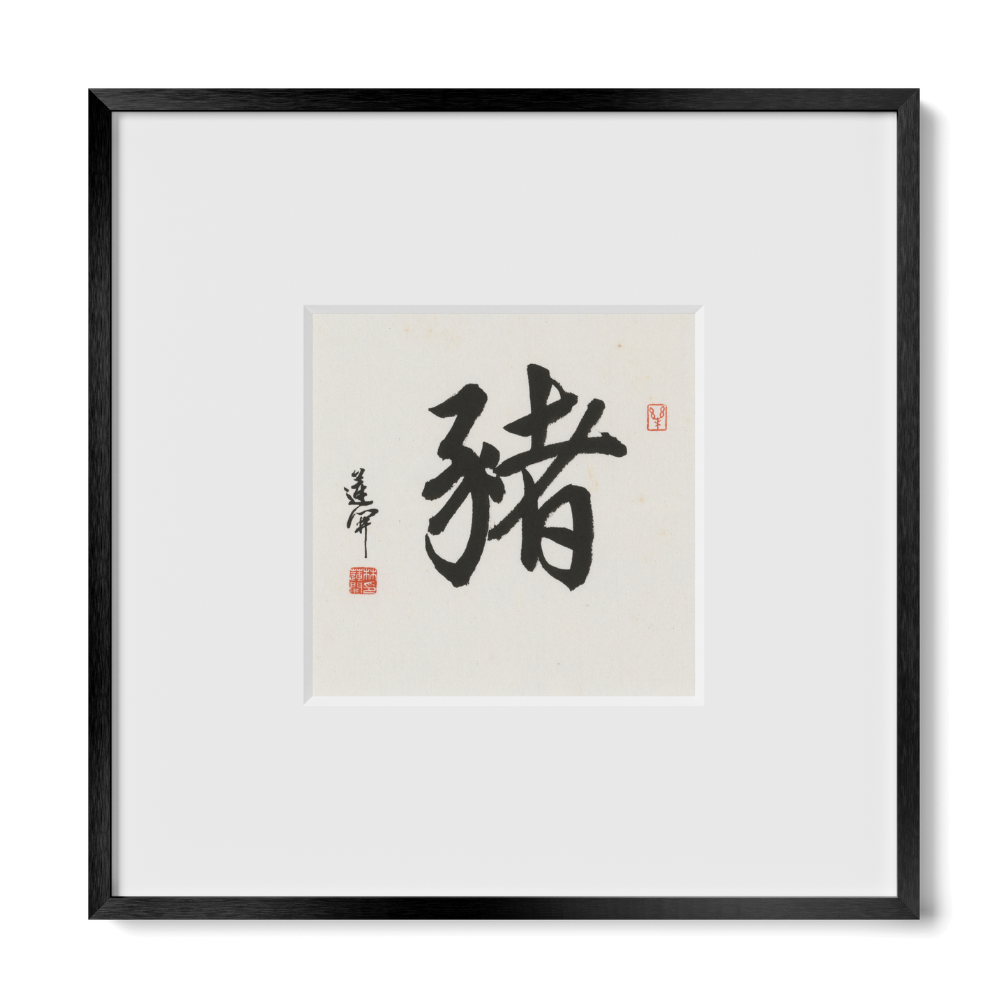 Thumbnail Label: 10X10" Black Premium Metal | Gallery Source: Transparent