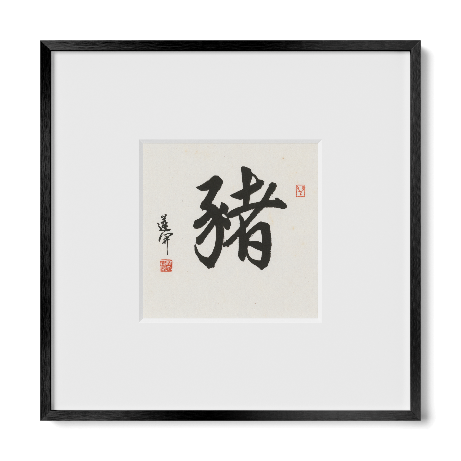 Thumbnail Label: 10X10" Black Premium Metal | Gallery Source: Transparent