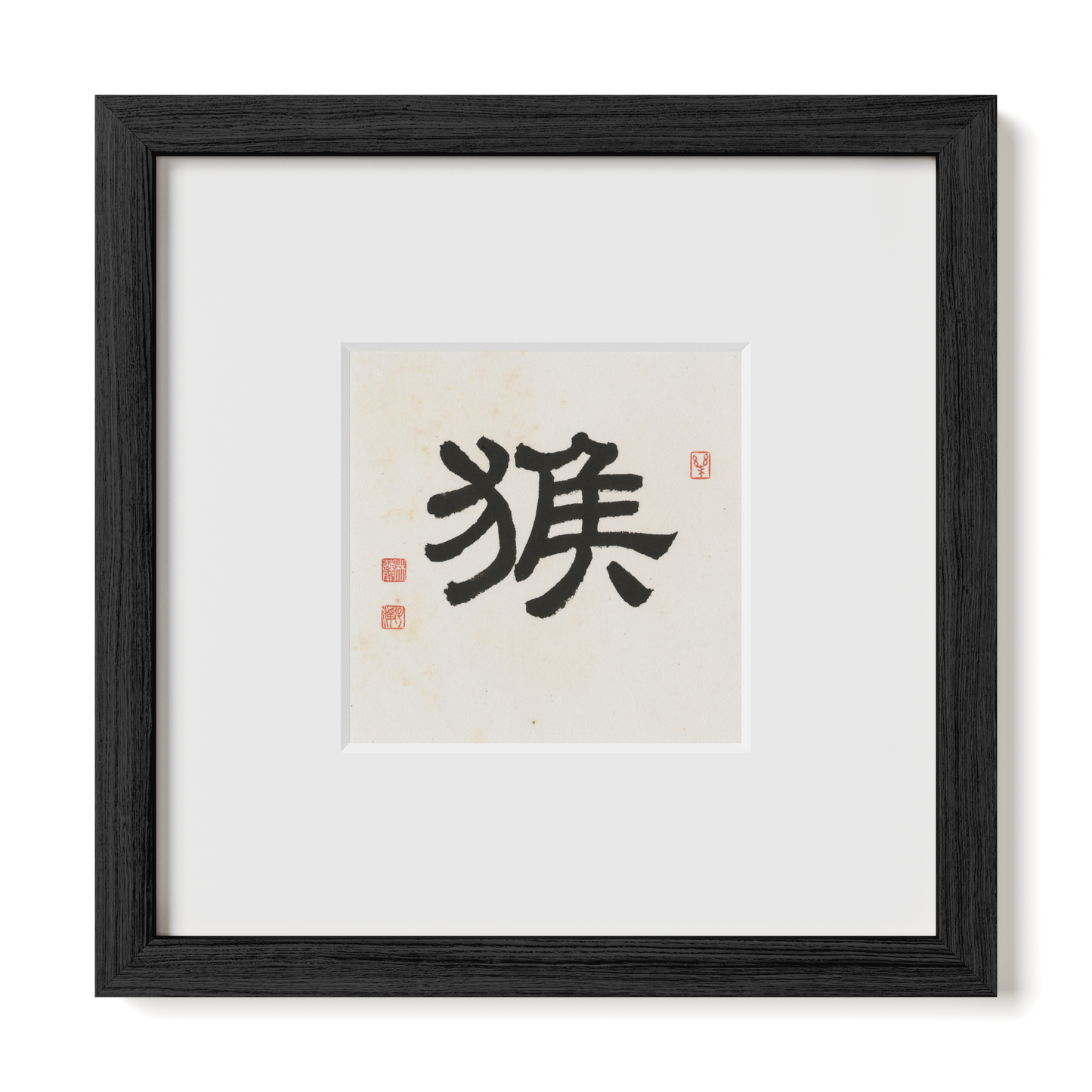 Thumbnail Label: 10X10" Black Premium Oak | Gallery Source: Transparent