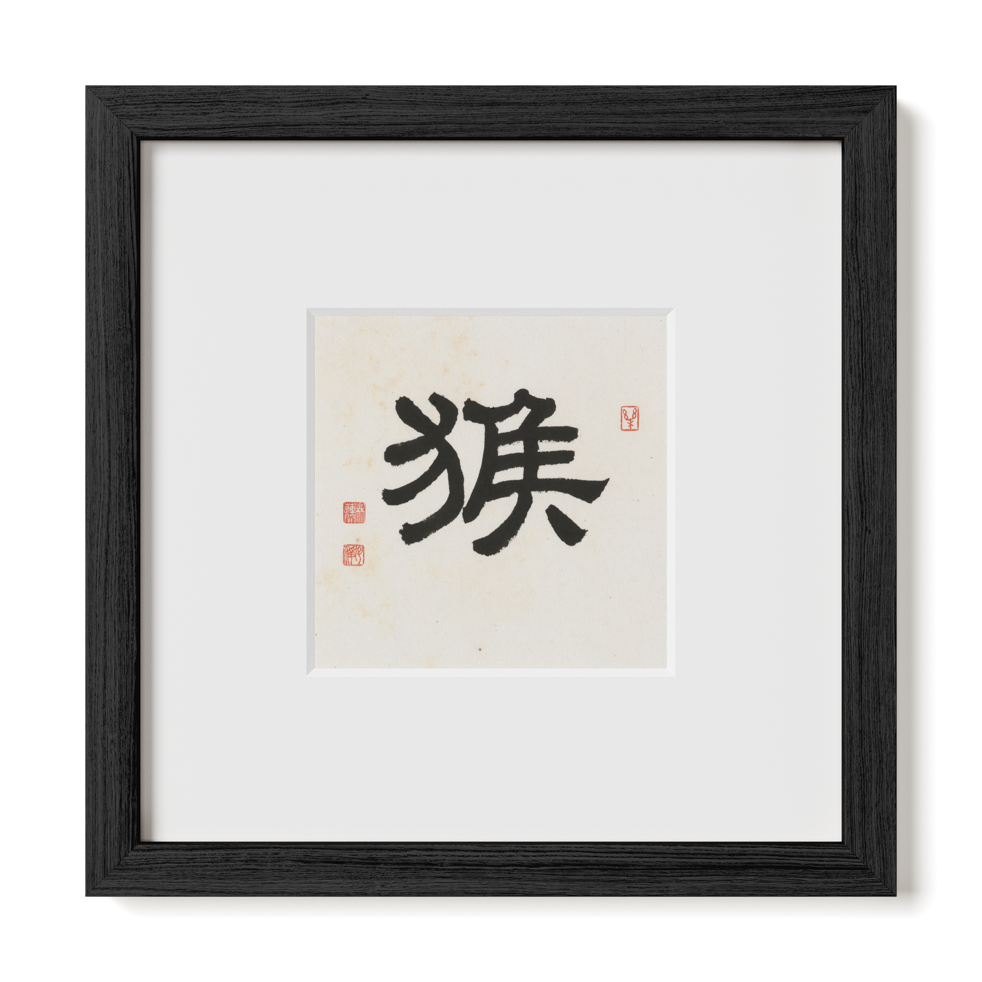 Thumbnail Label: 10X10" Black Premium Oak | Gallery Source: Transparent