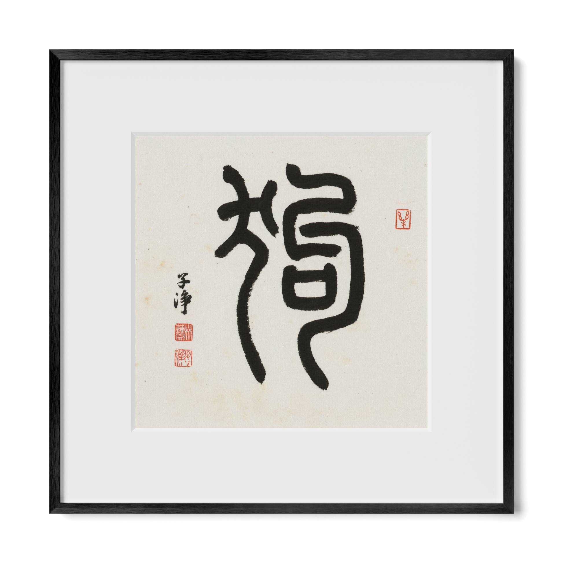 Thumbnail Label: 12X12" Black Premium Metal | Gallery Source: Transparent