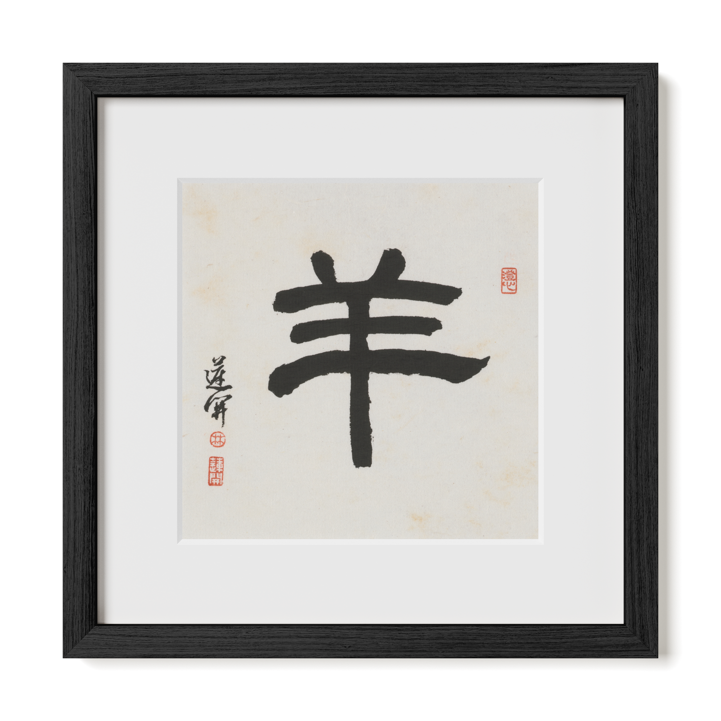 Thumbnail Label: 12X12" Black Premium Oak | Gallery Source: Transparent