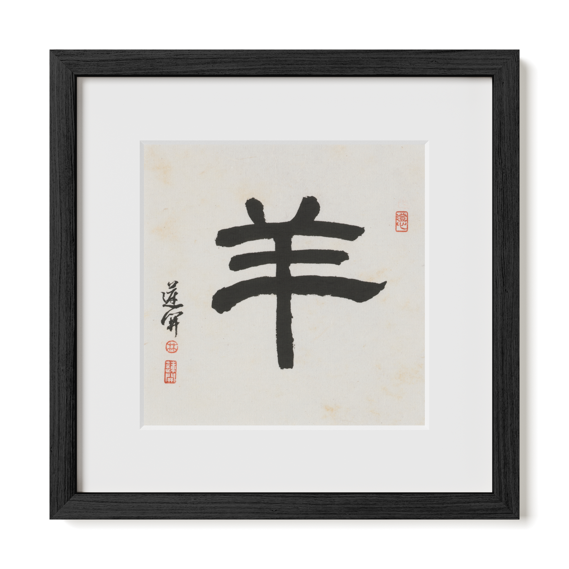 Thumbnail Label: 12X12" Black Premium Oak | Gallery Source: Transparent