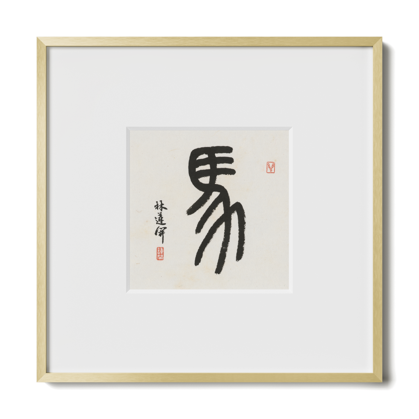Thumbnail Label: 10X10" Gold Premium Metal | Gallery Source: Transparent