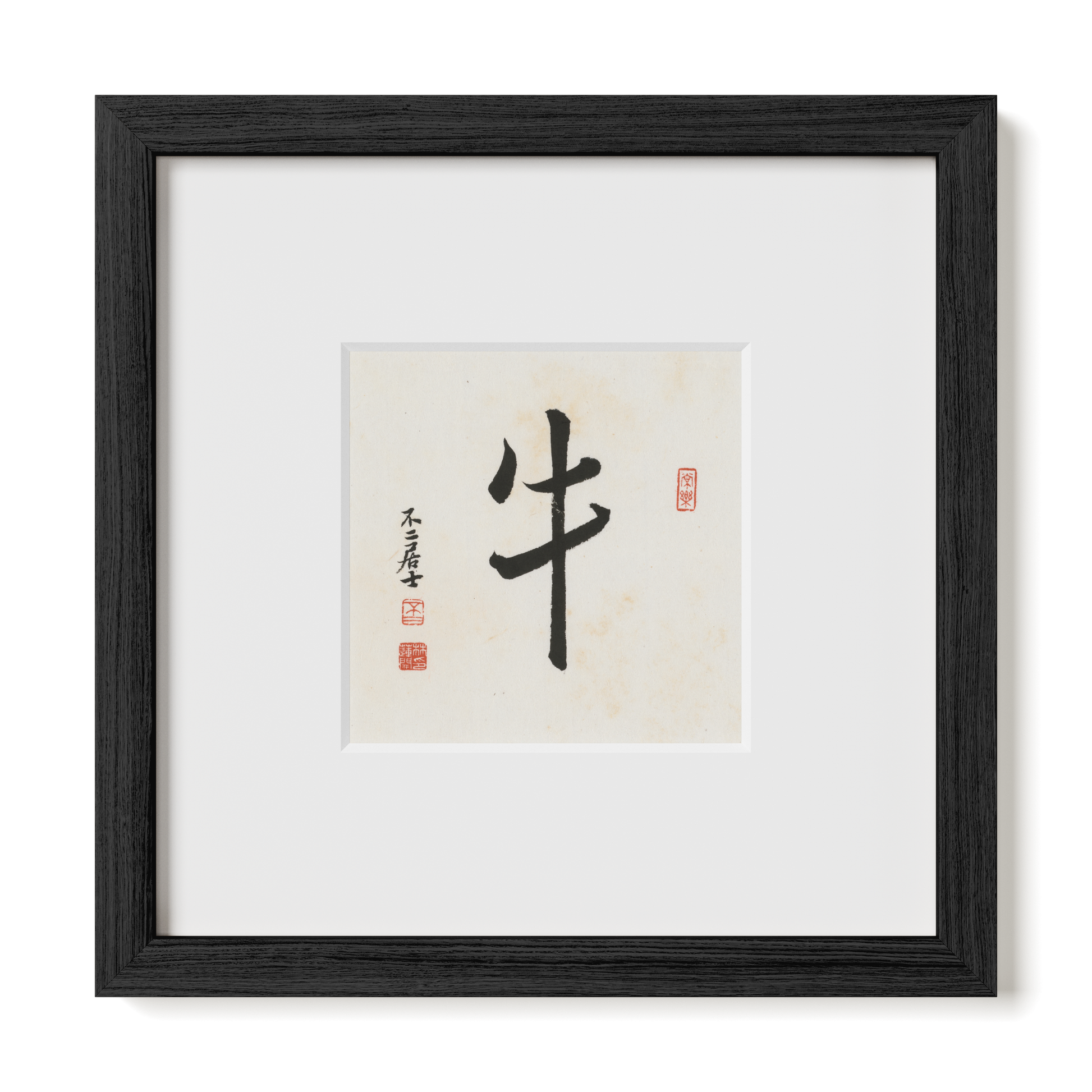 Thumbnail Label: 10X10" Black Premium Oak | Gallery Source: Transparent