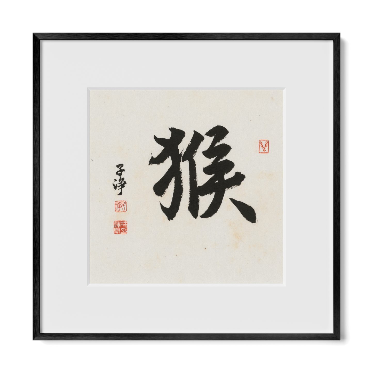 Thumbnail Label: 12X12" Black Premium Metal | Gallery Source: Transparent