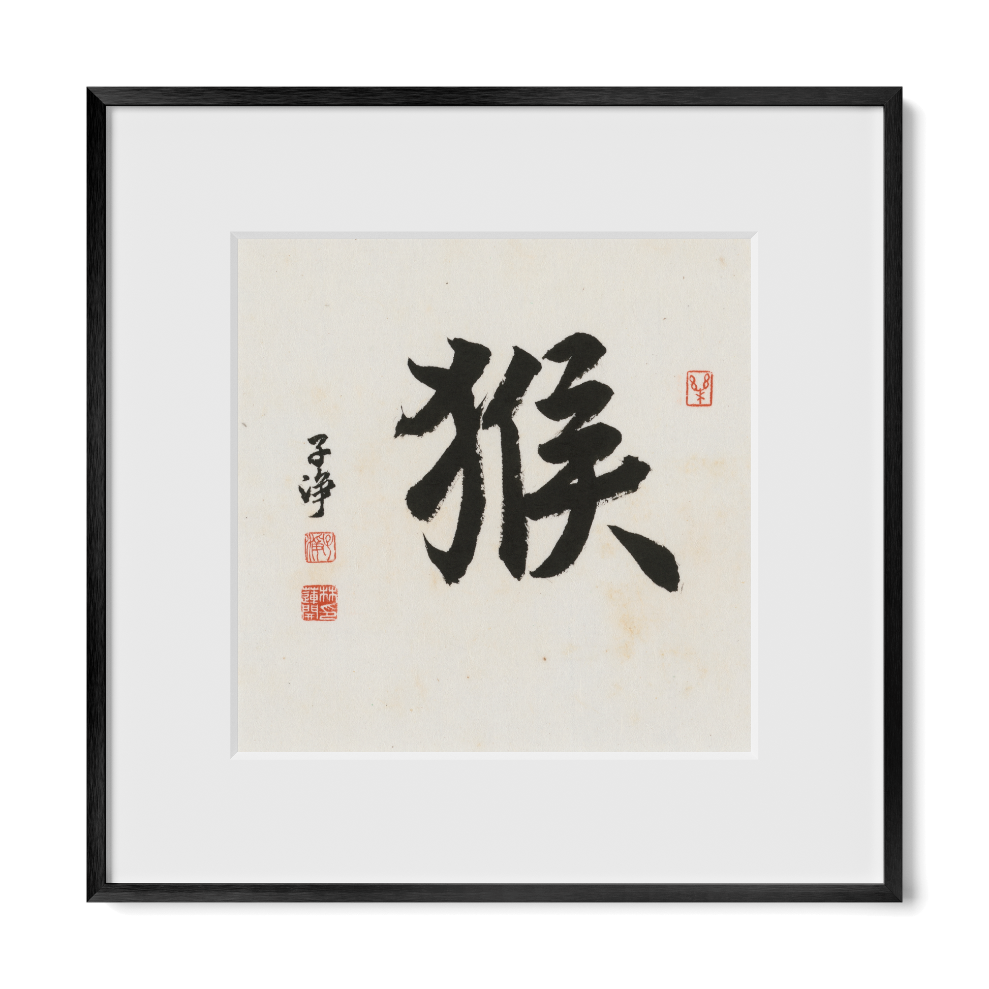 Thumbnail Label: 12X12" Black Premium Metal | Gallery Source: Transparent