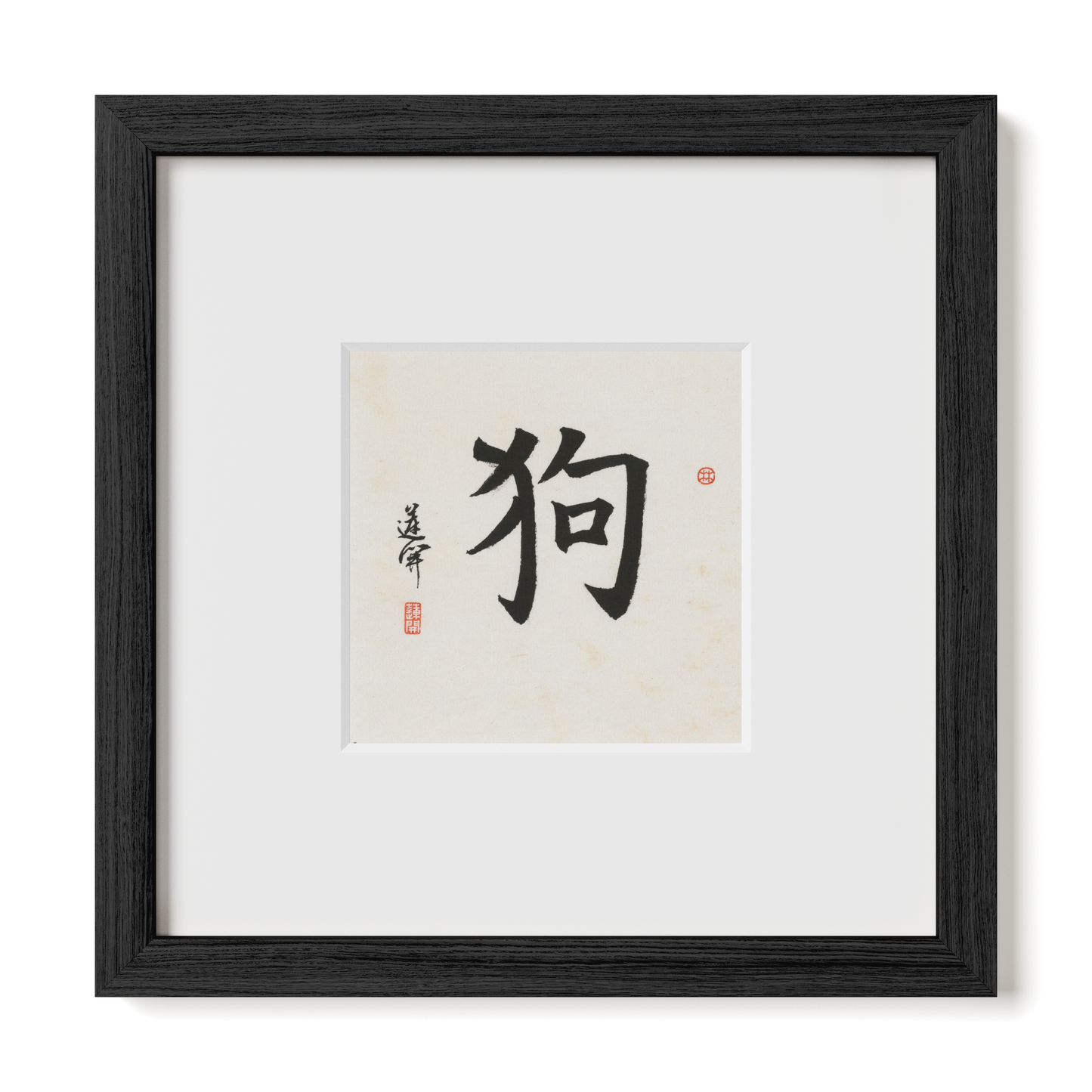 Thumbnail Label: 10X10" Black Premium Oak | Gallery Source: Transparent