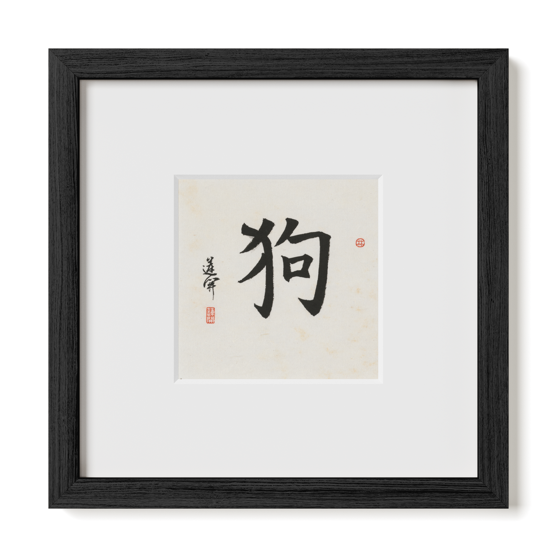 Thumbnail Label: 10X10" Black Premium Oak | Gallery Source: Transparent