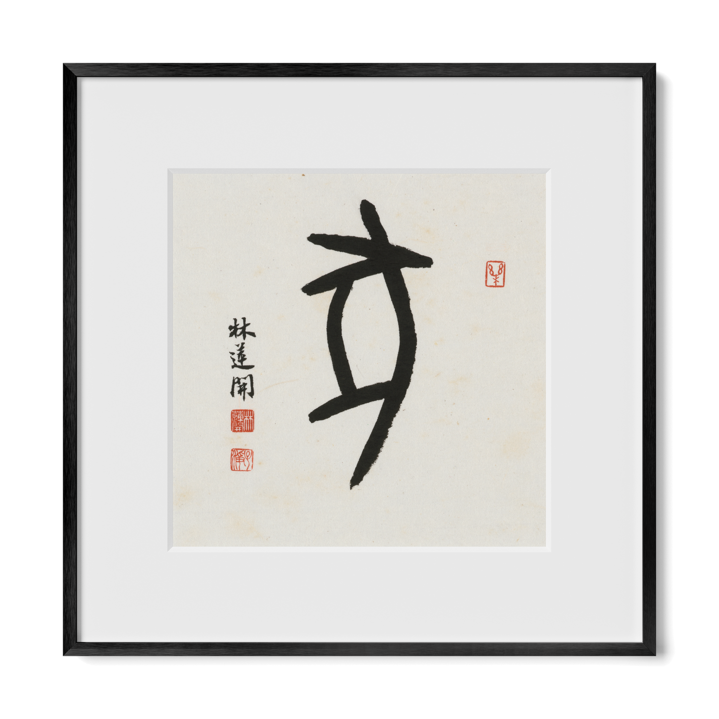 Thumbnail Label: 12X12" Black Premium Metal | Gallery Source: Transparent