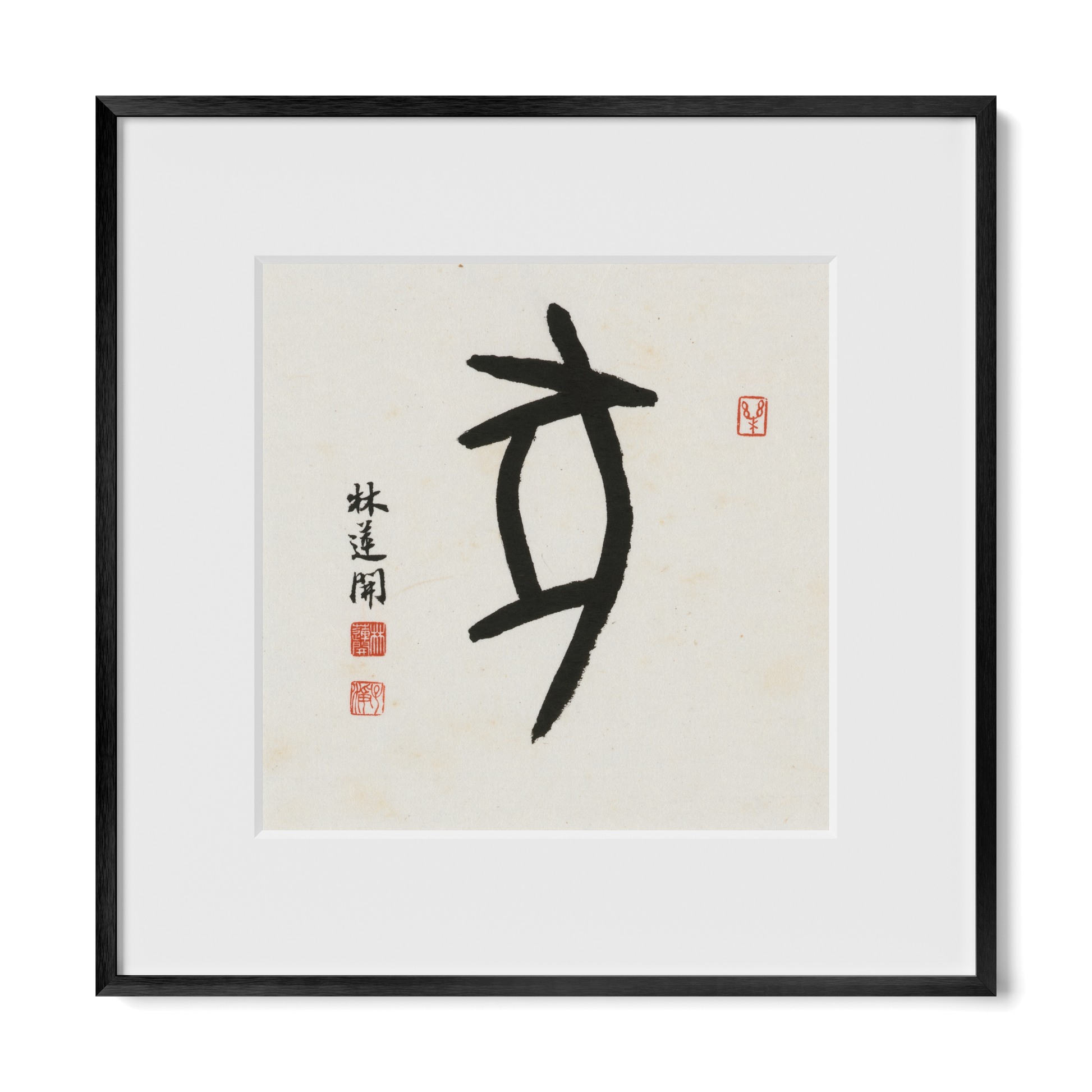Thumbnail Label: 12X12" Black Premium Metal | Gallery Source: Transparent