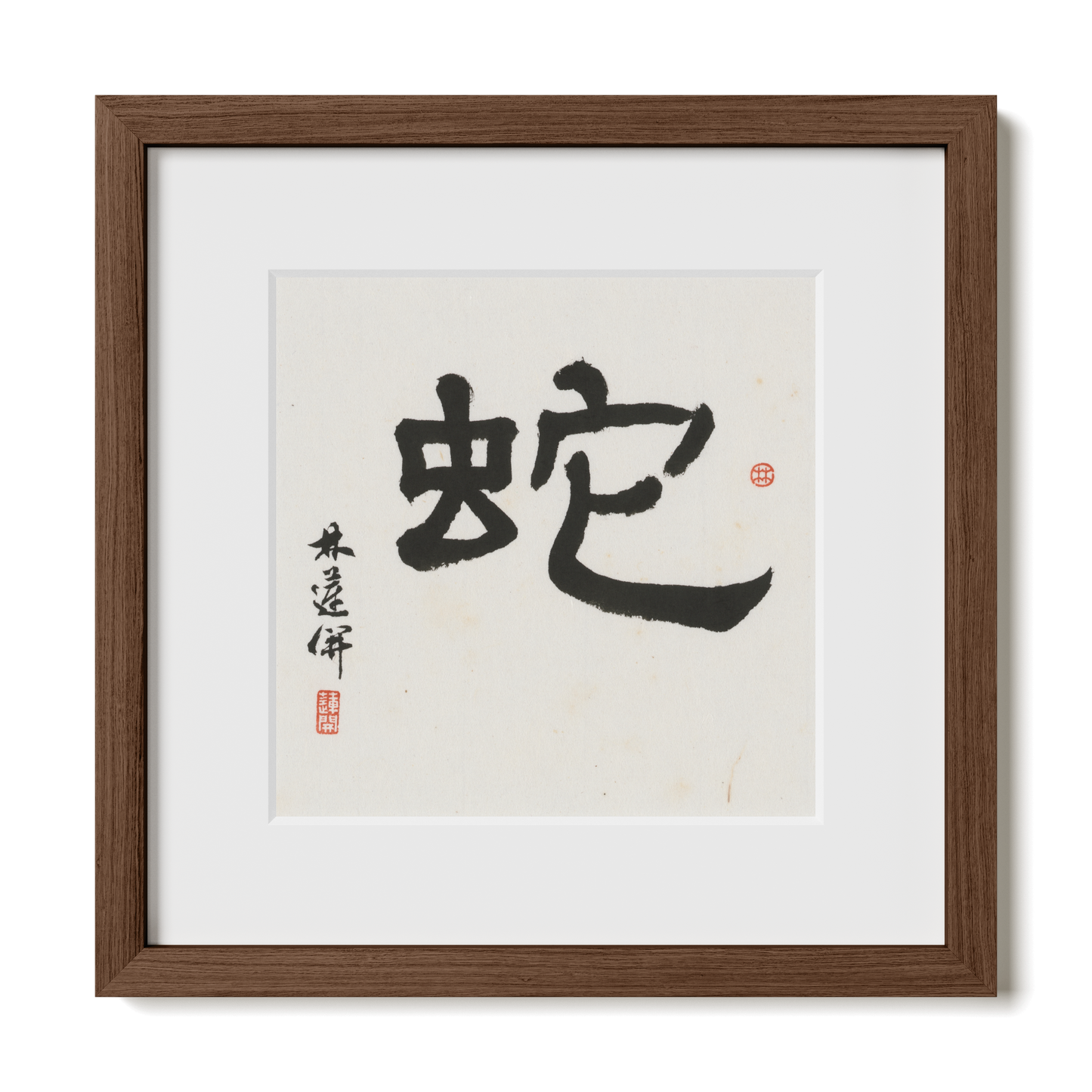 Thumbnail Label: 12X12" Walnut Premium Oak | Gallery Source: Transparent