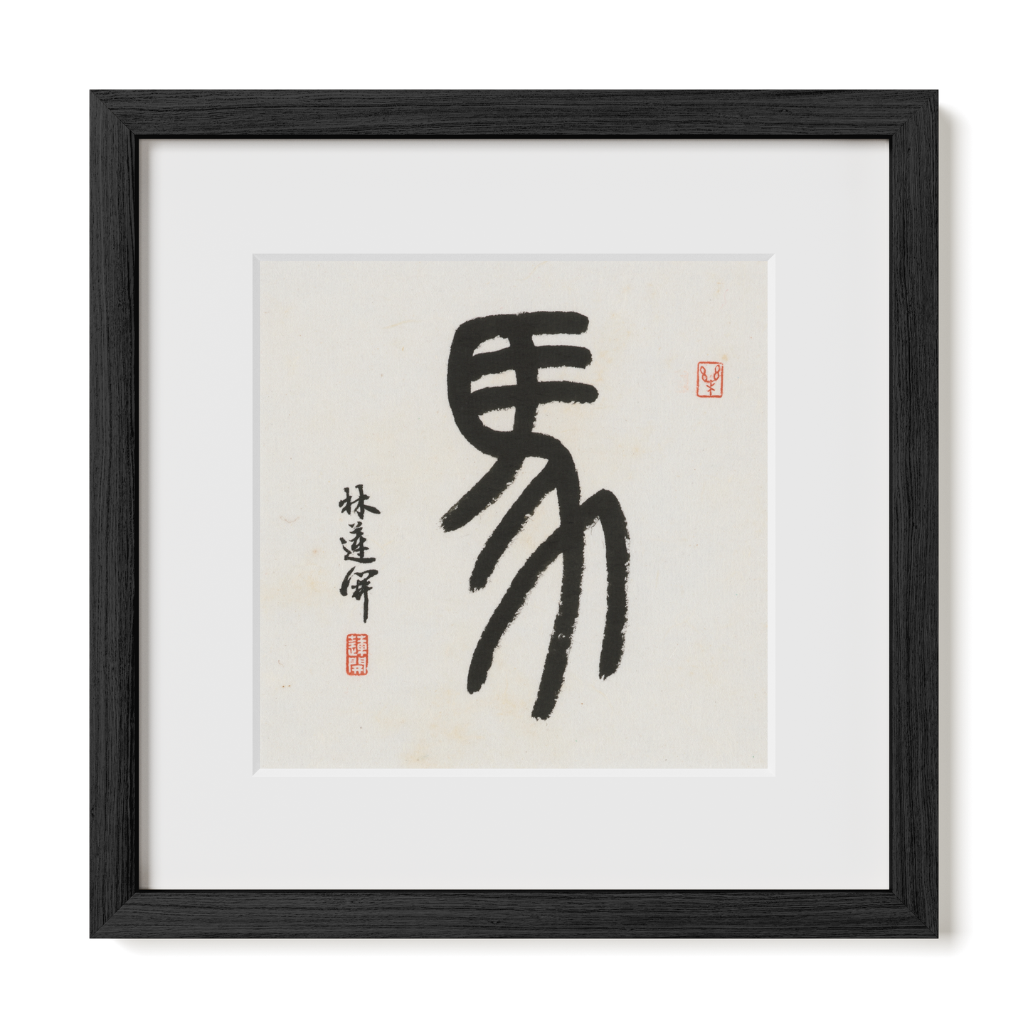 Thumbnail Label: 12X12" Black Premium Oak | Gallery Source: Transparent