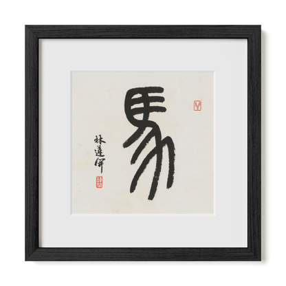 Thumbnail Label: 12X12" Black Premium Oak | Gallery Source: Transparent