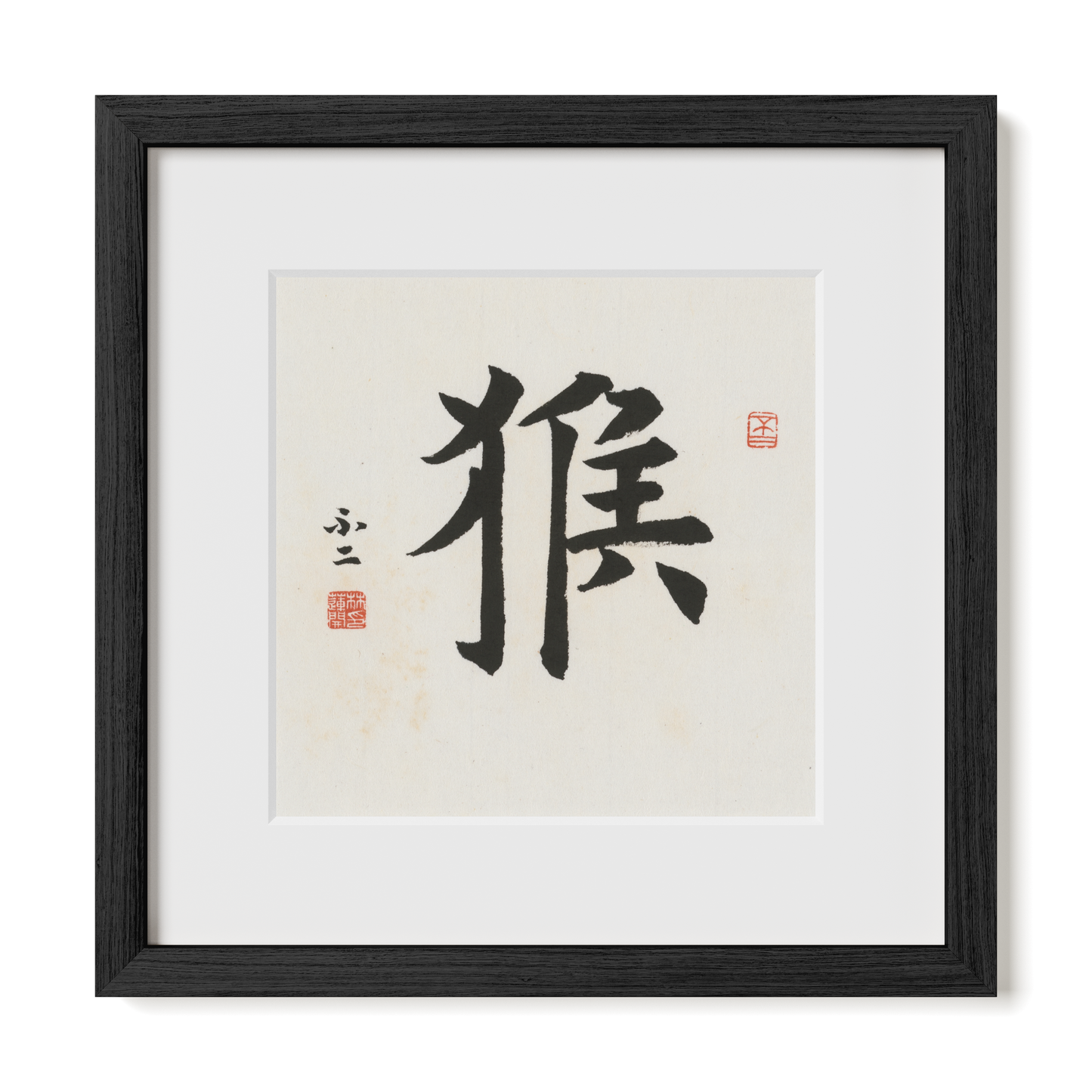 Thumbnail Label: 12X12" Black Premium Oak | Gallery Source: Transparent