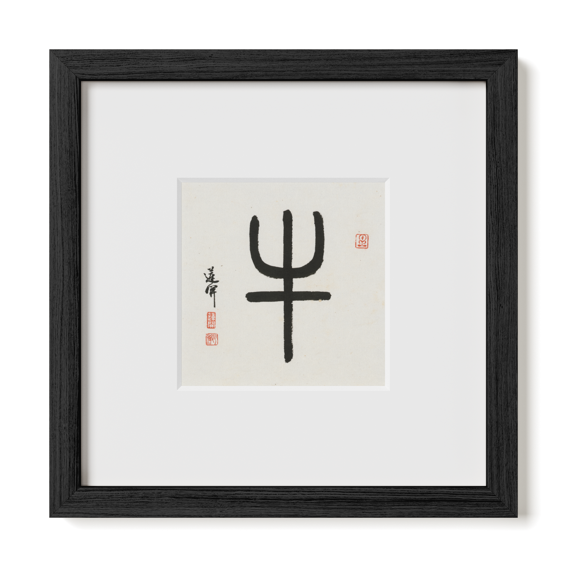 Thumbnail Label: 10X10" Black Premium Oak | Gallery Source: Transparent