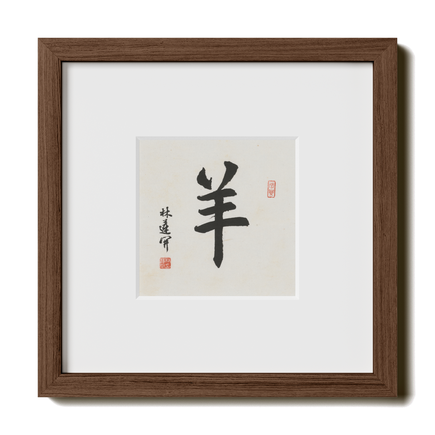 Thumbnail Label: 10X10" Walnut Premium Oak | Gallery Source: Transparent