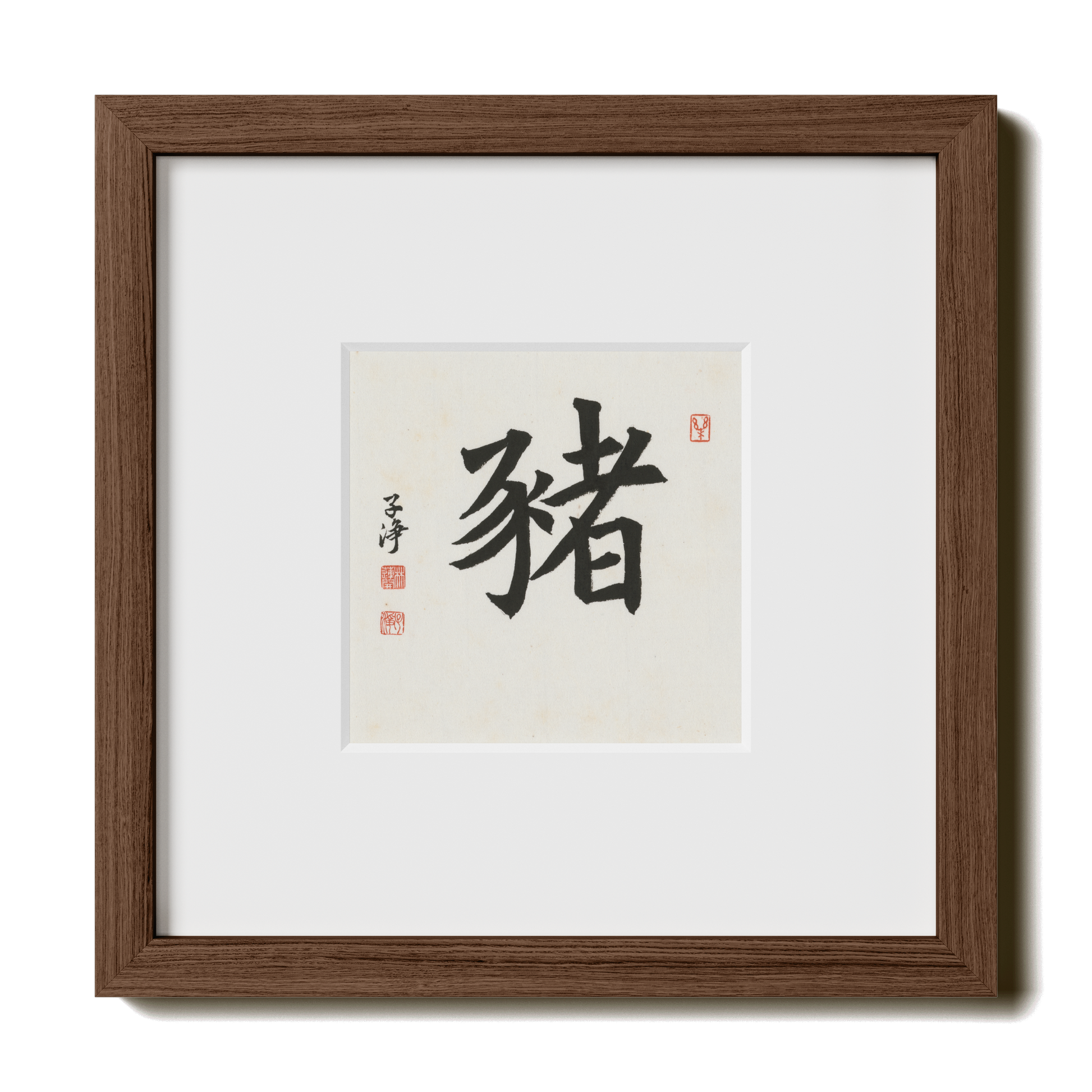 Thumbnail Label: 10X10" Walnut Premium Oak | Gallery Source: Transparent