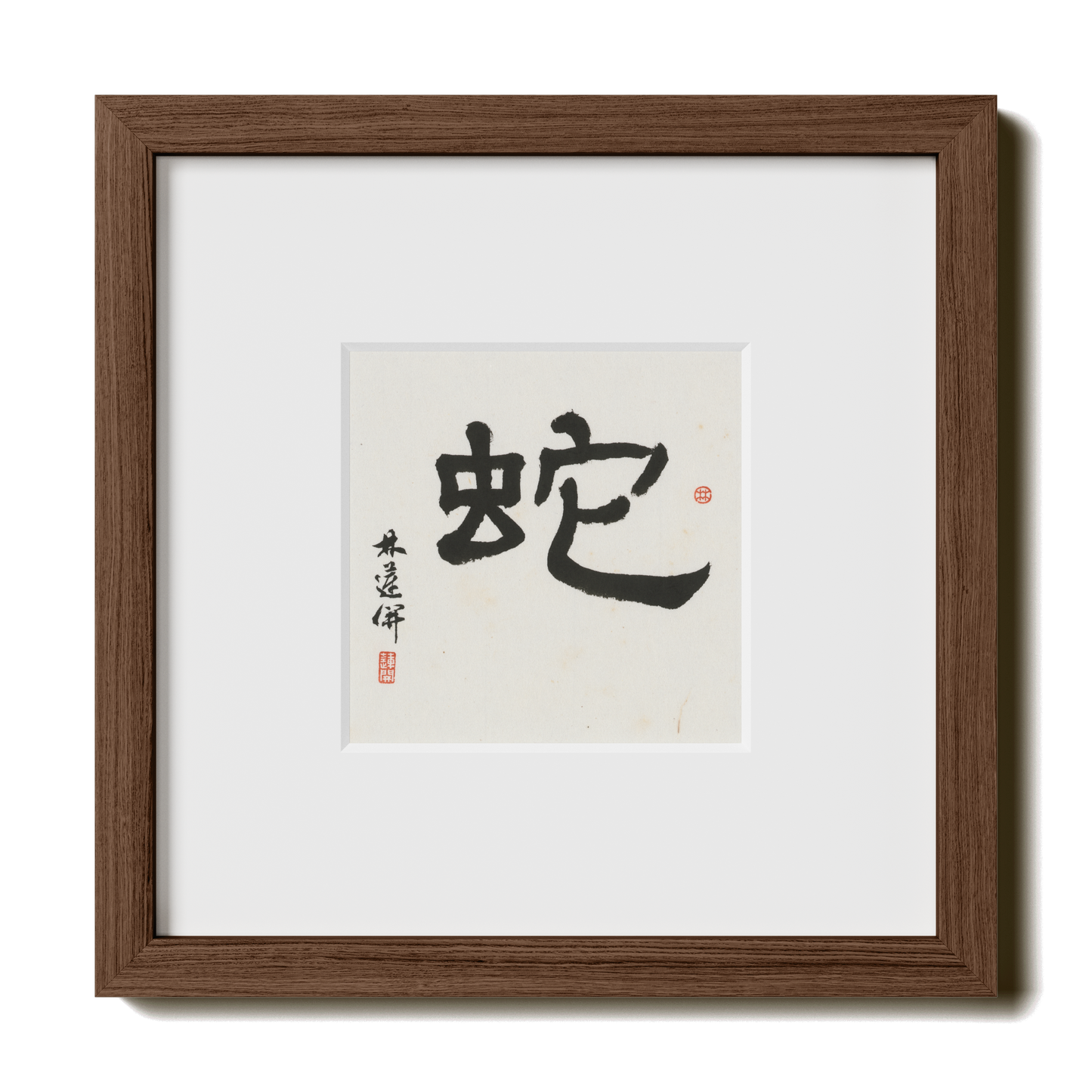 Thumbnail Label: 10X10" Walnut Premium Oak | Gallery Source: Transparent