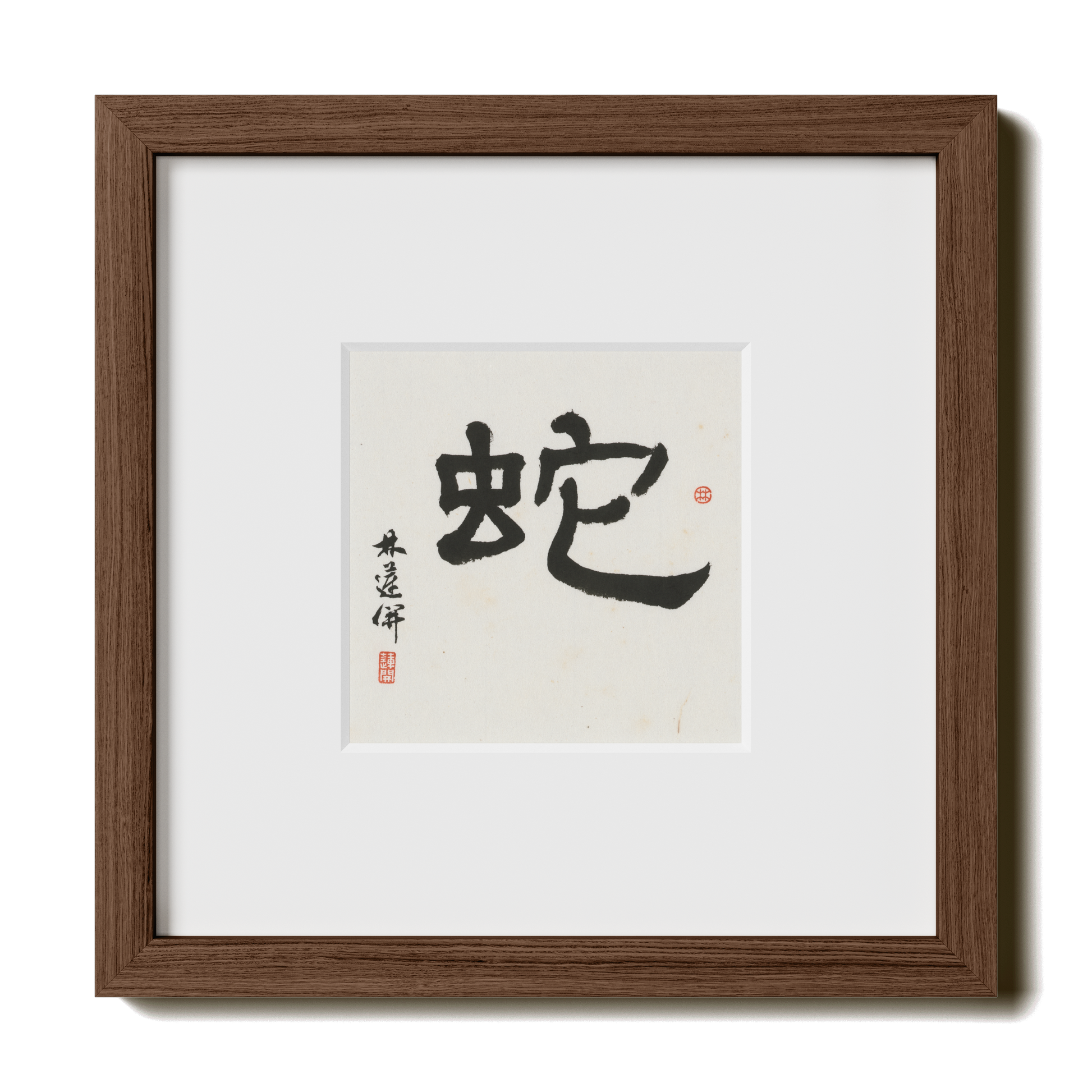 Thumbnail Label: 10X10" Walnut Premium Oak | Gallery Source: Transparent