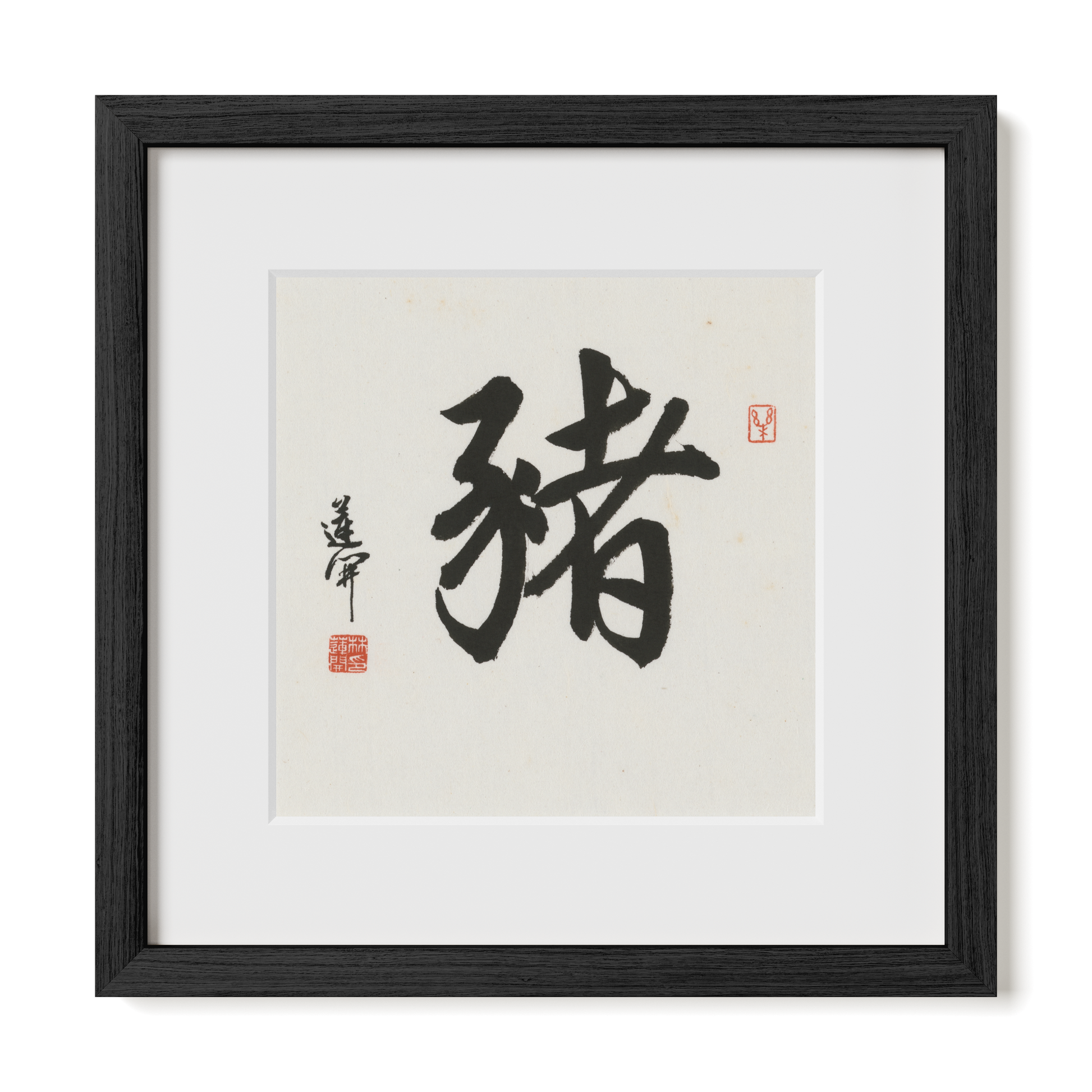 Thumbnail Label: 12X12" Black Premium Oak | Gallery Source: Transparent