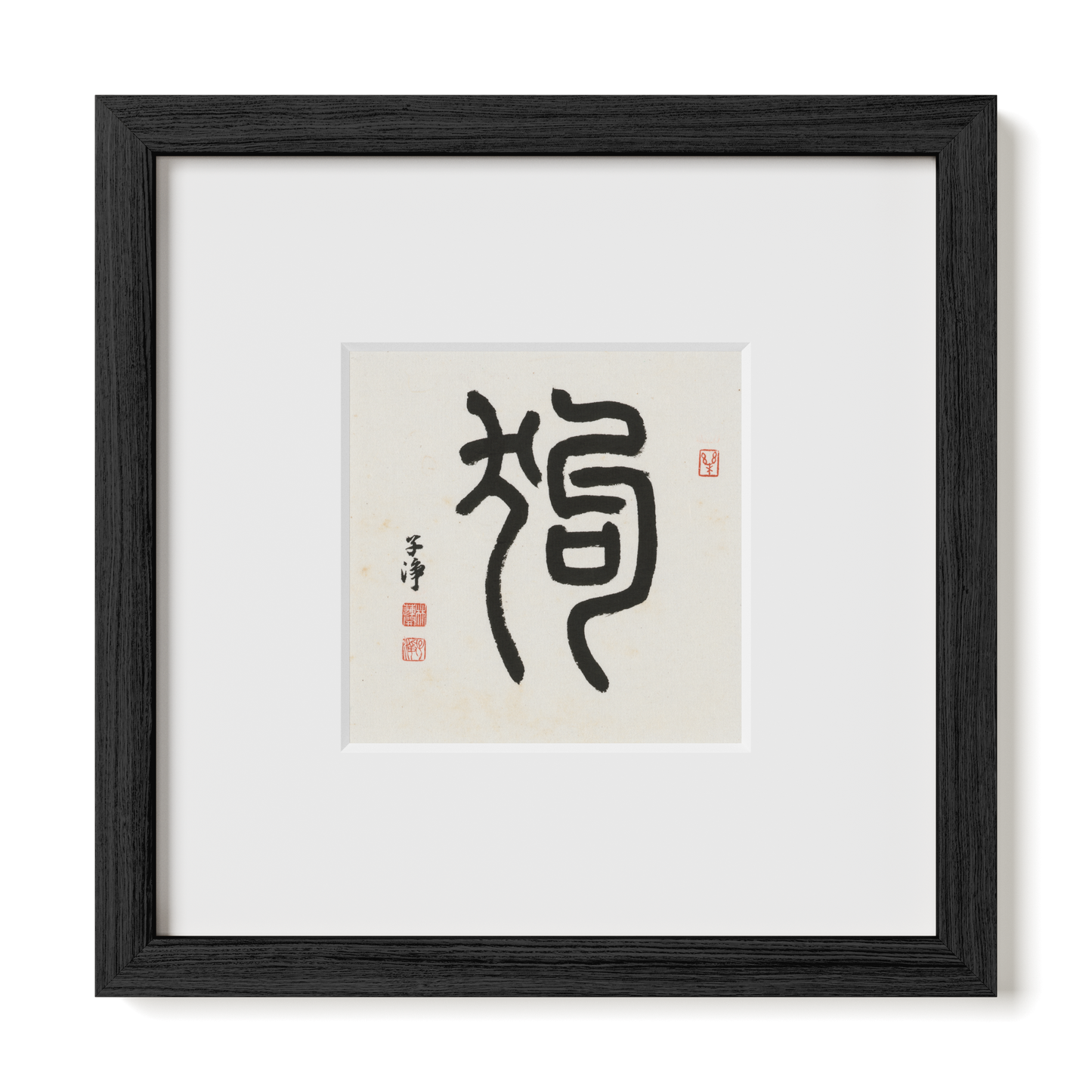 Thumbnail Label: 10X10" Black Premium Oak | Gallery Source: Transparent