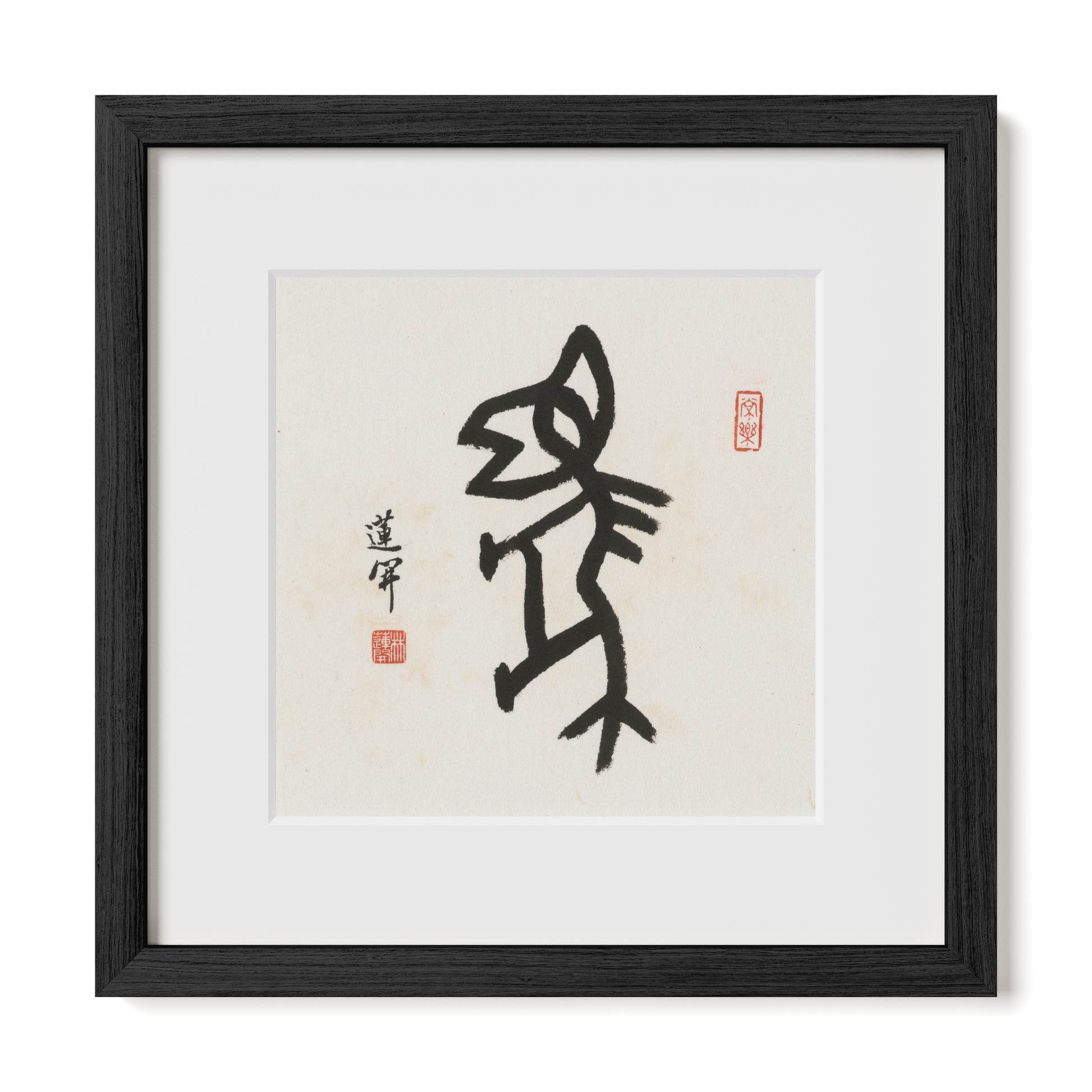 Thumbnail Label: 12X12" Black Premium Oak | Gallery Source: Transparent