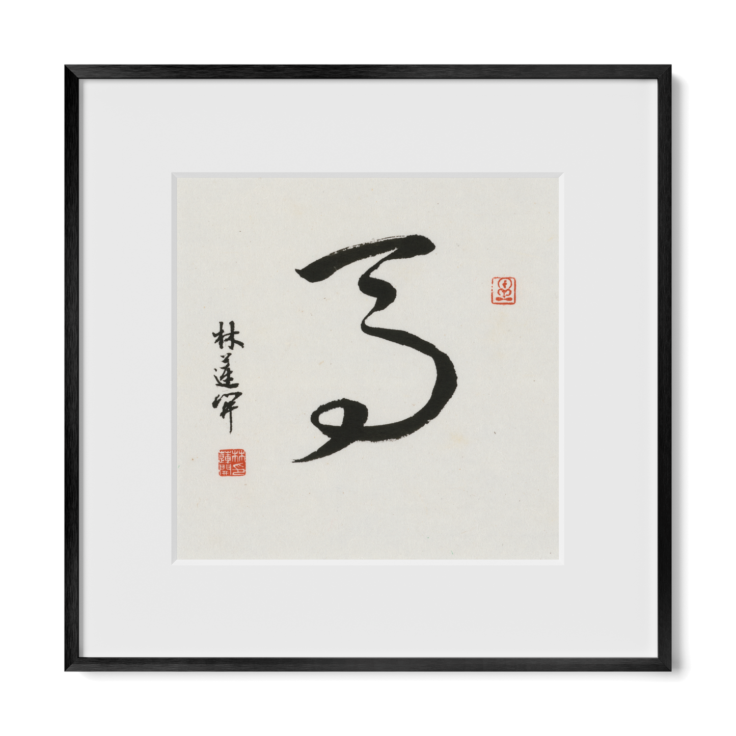 Thumbnail Label: 12X12" Black Premium Metal | Gallery Source: Transparent