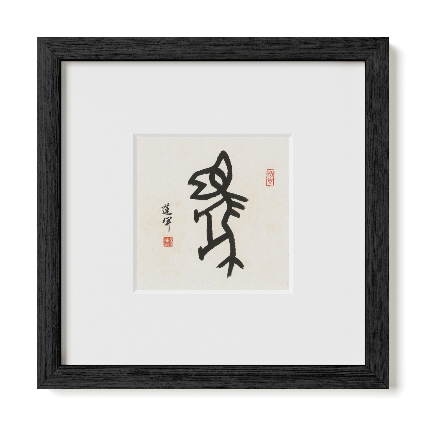 Thumbnail Label: 10X10" Black Premium Oak | Gallery Source: Transparent