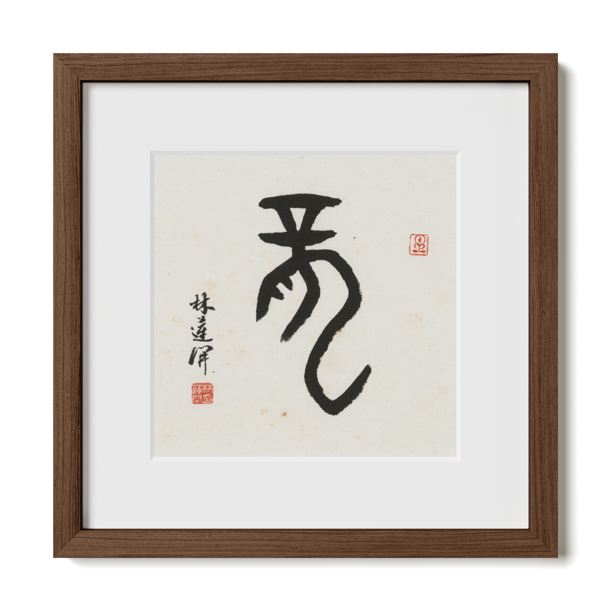 Thumbnail Label: 12X12" Walnut Premium Oak | Gallery Source: Transparent