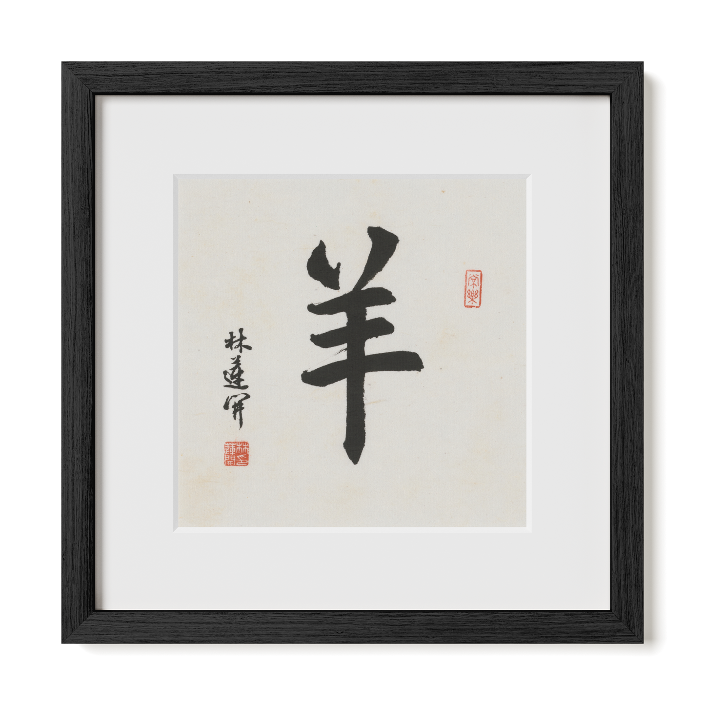 Thumbnail Label: 12X12" Black Premium Oak | Gallery Source: Transparent
