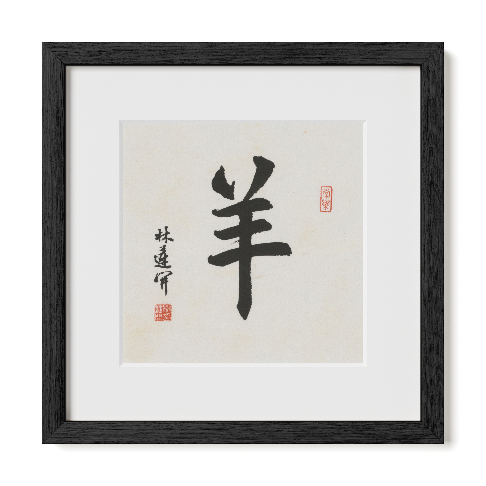 Thumbnail Label: 12X12" Black Premium Oak | Gallery Source: Transparent