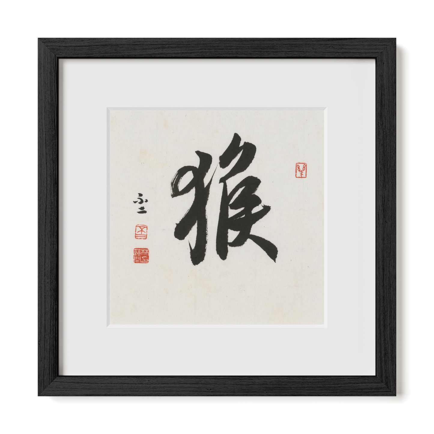 Thumbnail Label: 12X12" Black Premium Oak | Gallery Source: Transparent