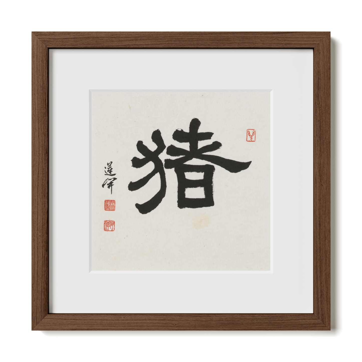 Thumbnail Label: 12X12" Walnut Premium Oak | Gallery Source: Transparent