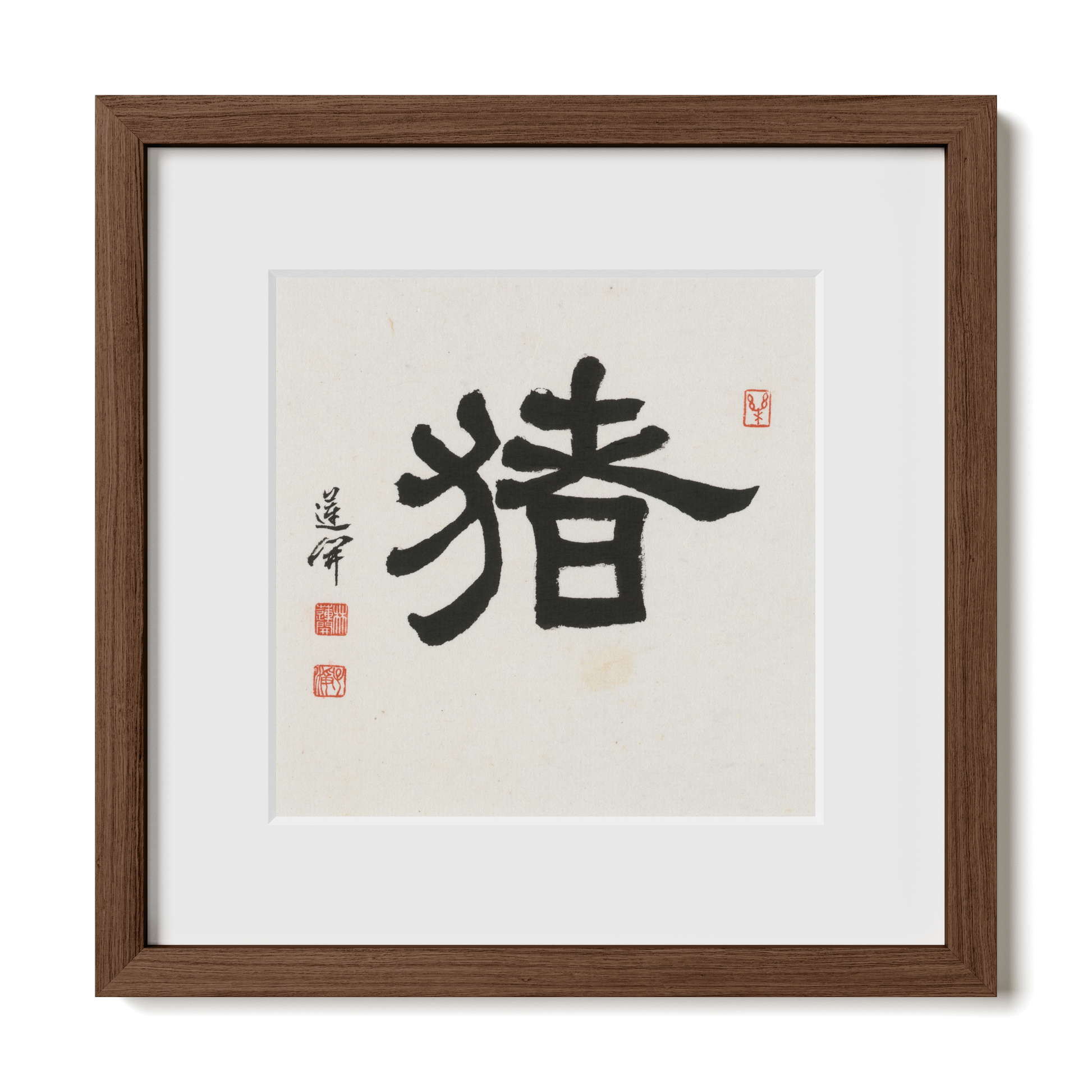 Thumbnail Label: 12X12" Walnut Premium Oak | Gallery Source: Transparent