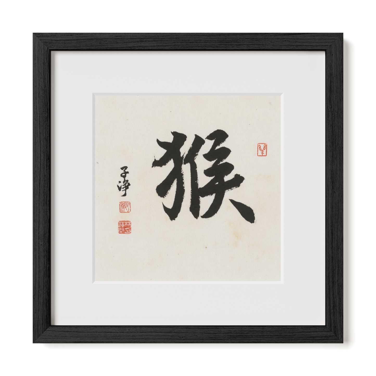 Thumbnail Label: 12X12" Black Premium Oak | Gallery Source: Transparent