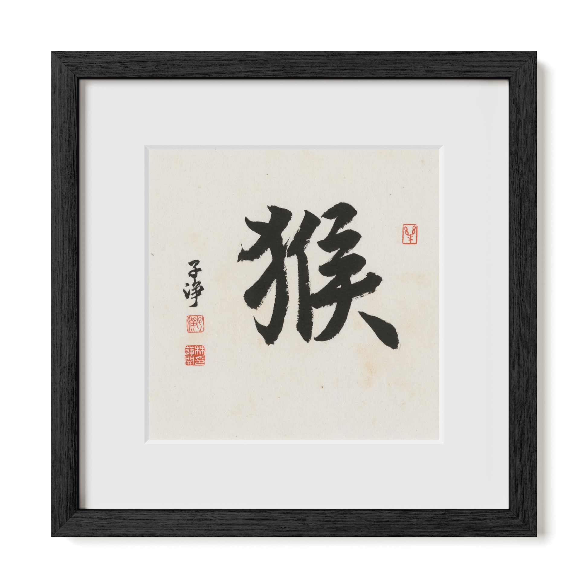 Thumbnail Label: 12X12" Black Premium Oak | Gallery Source: Transparent