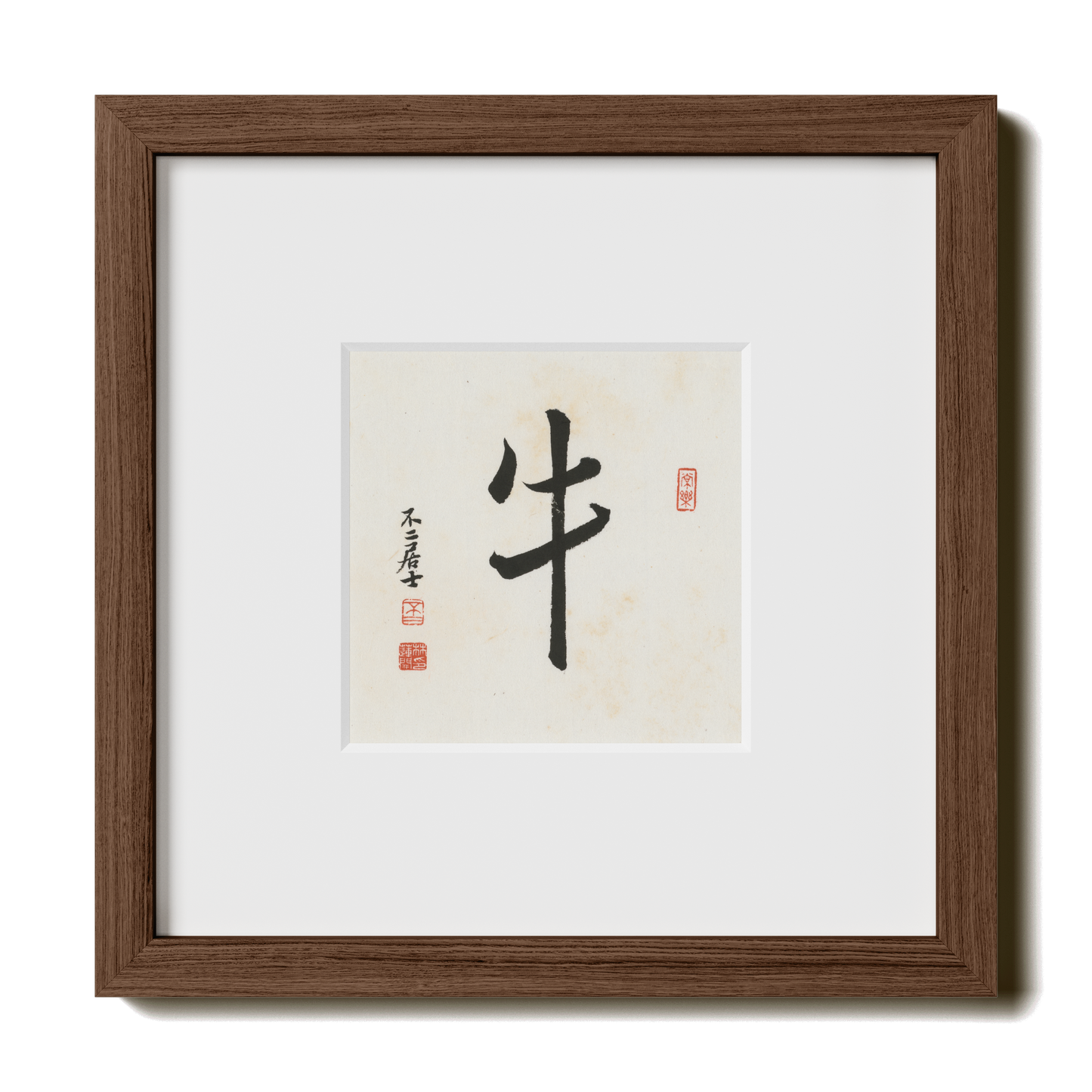 Thumbnail Label: 10X10" Walnut Premium Oak | Gallery Source: Transparent