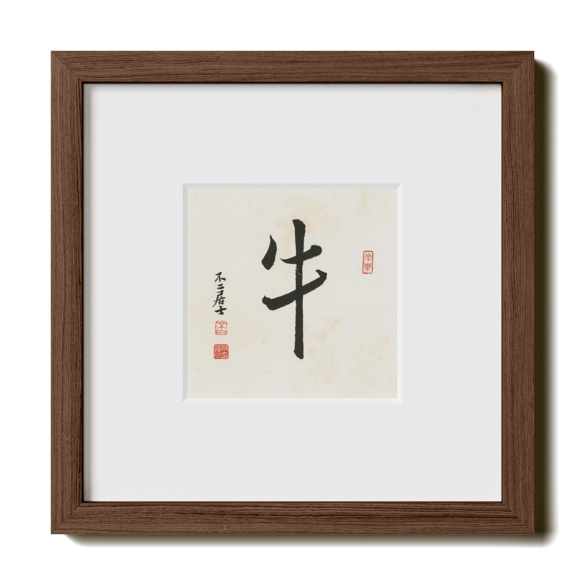 Thumbnail Label: 10X10" Walnut Premium Oak | Gallery Source: Transparent