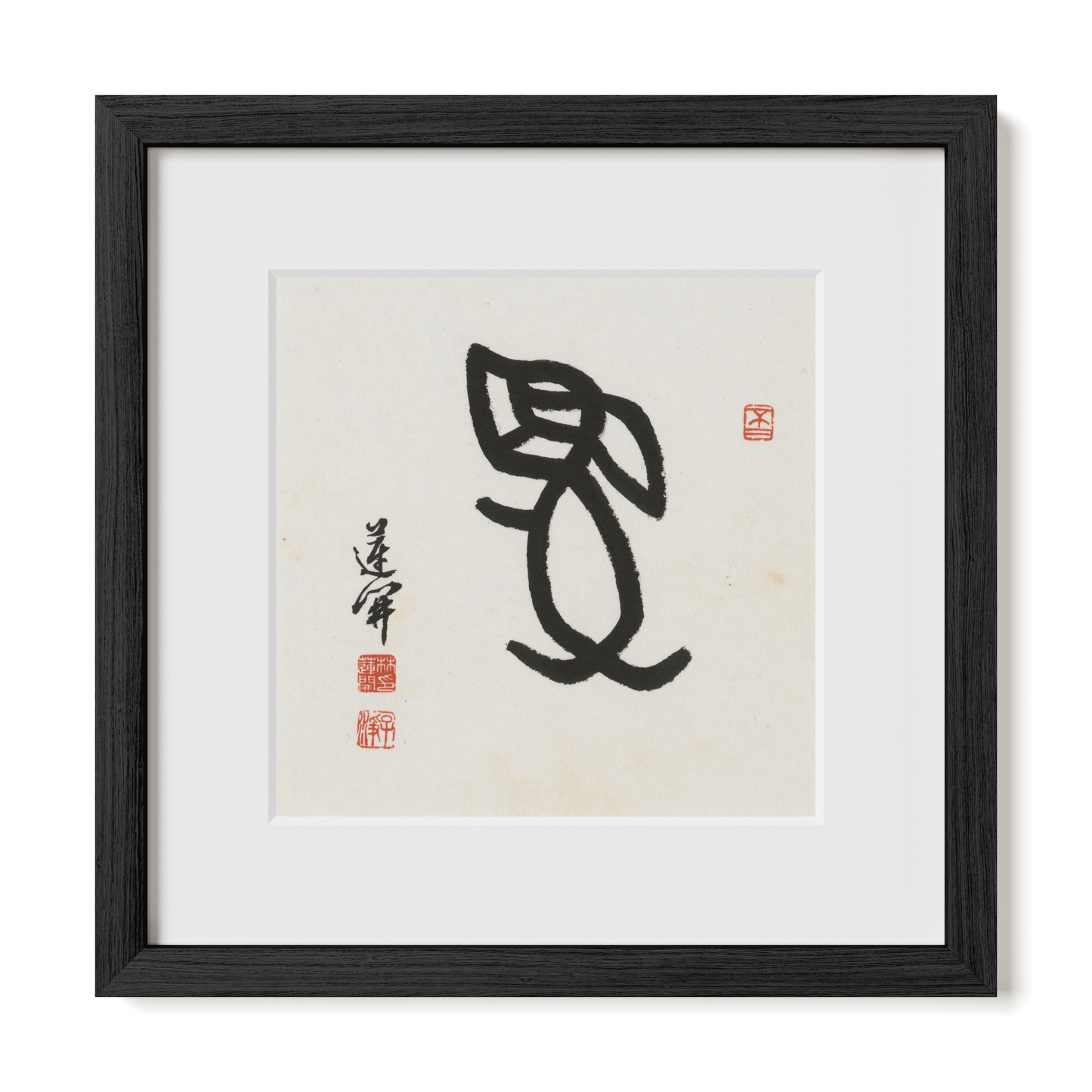 Thumbnail Label: 12X12" Black Premium Oak | Gallery Source: Transparent
