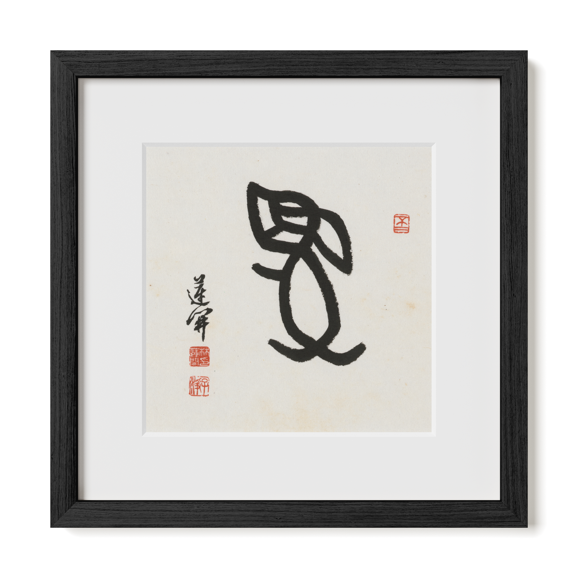 Thumbnail Label: 12X12" Black Premium Oak | Gallery Source: Transparent
