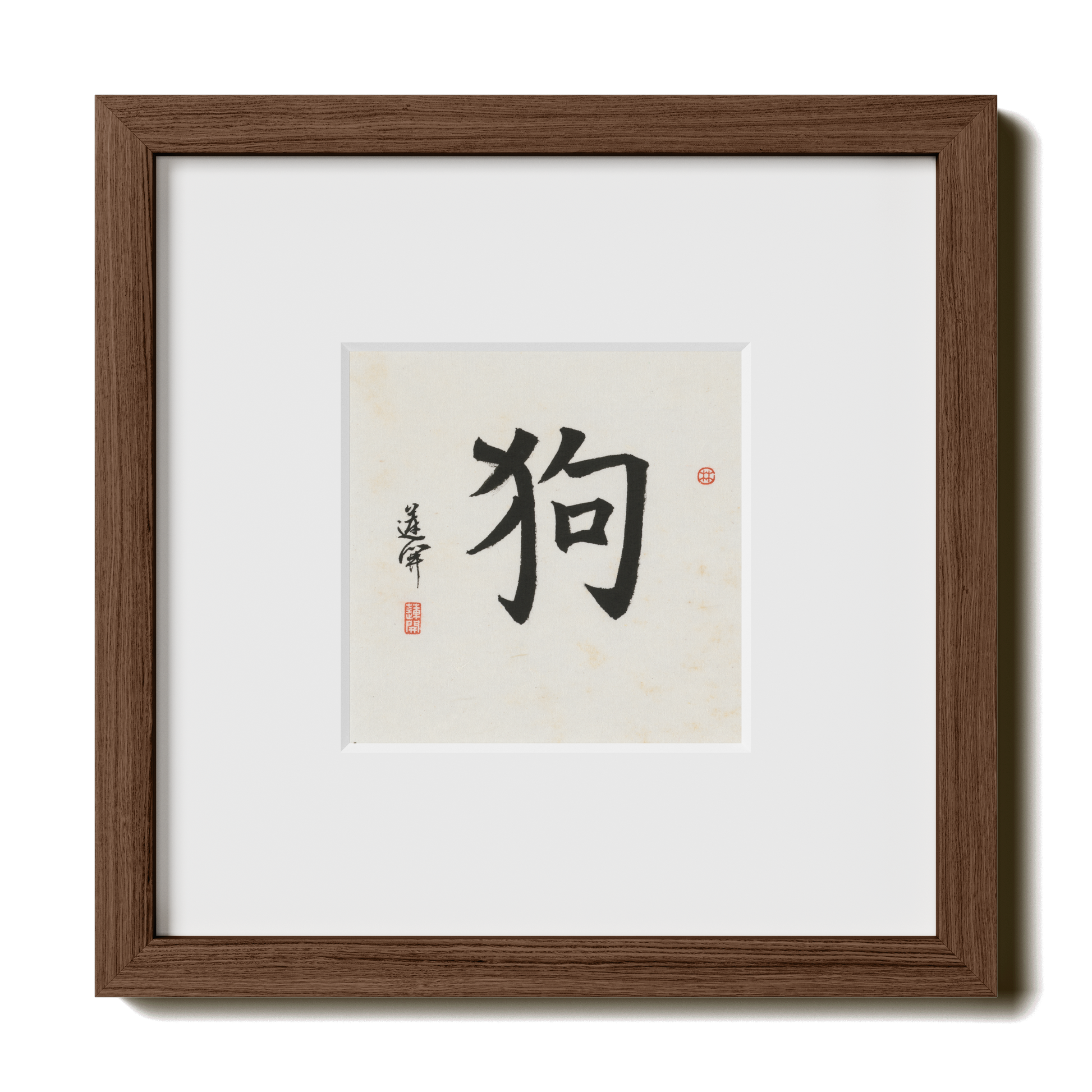 Thumbnail Label: 10X10" Walnut Premium Oak | Gallery Source: Transparent
