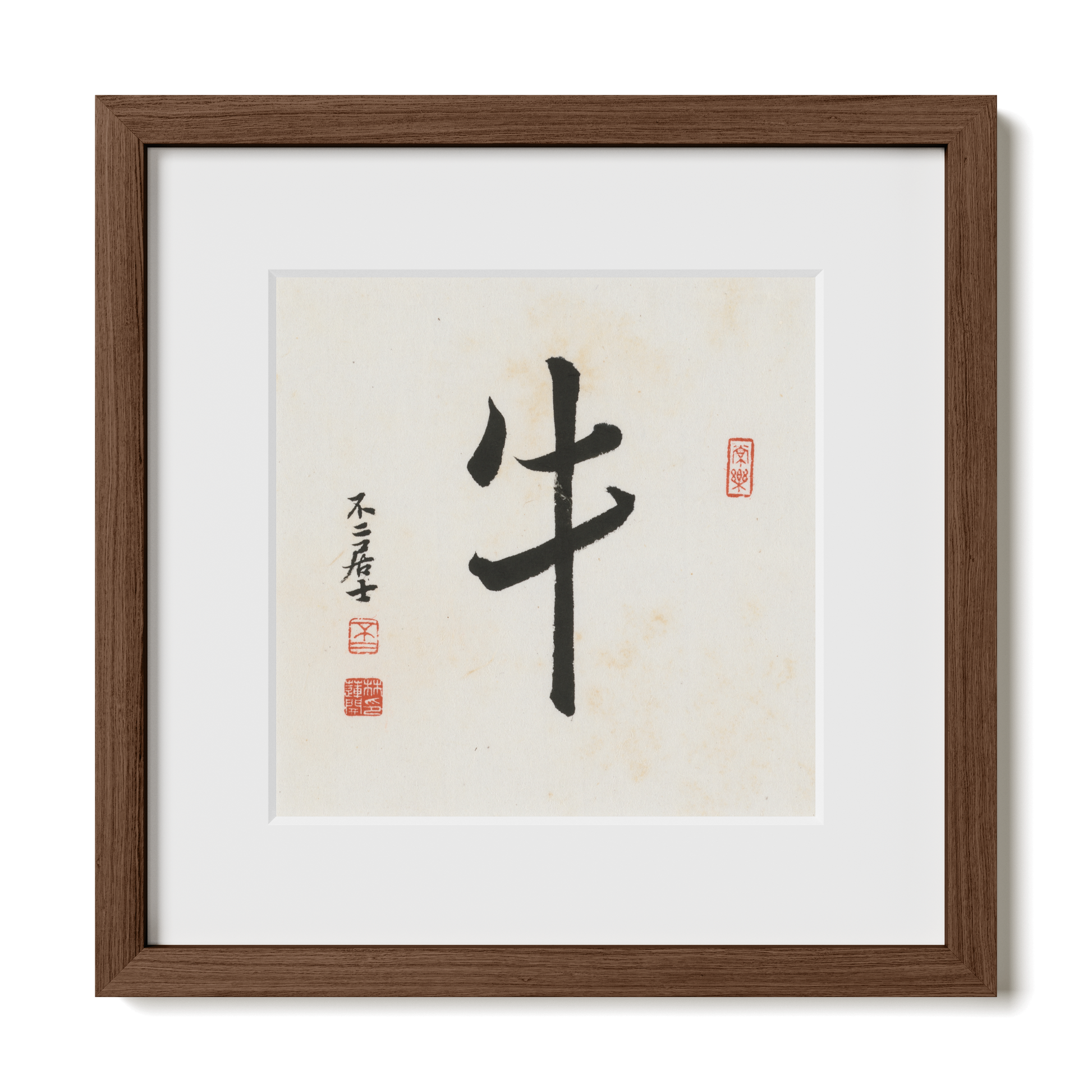 Thumbnail Label: 12X12" Walnut Premium Oak | Gallery Source: Transparent