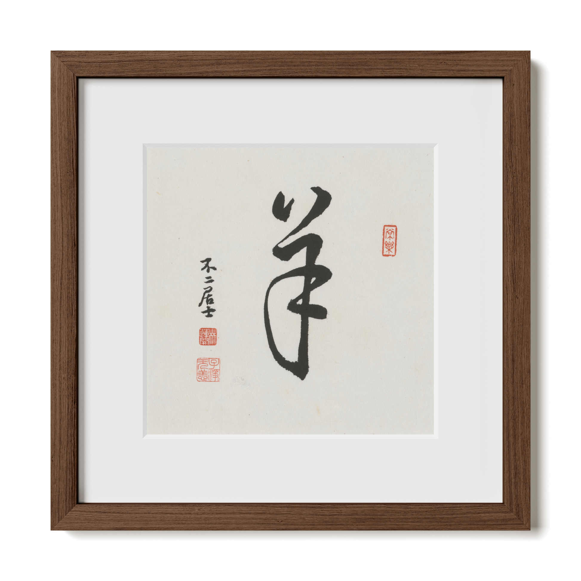 Thumbnail Label: 12X12" Walnut Premium Oak | Gallery Source: Transparent