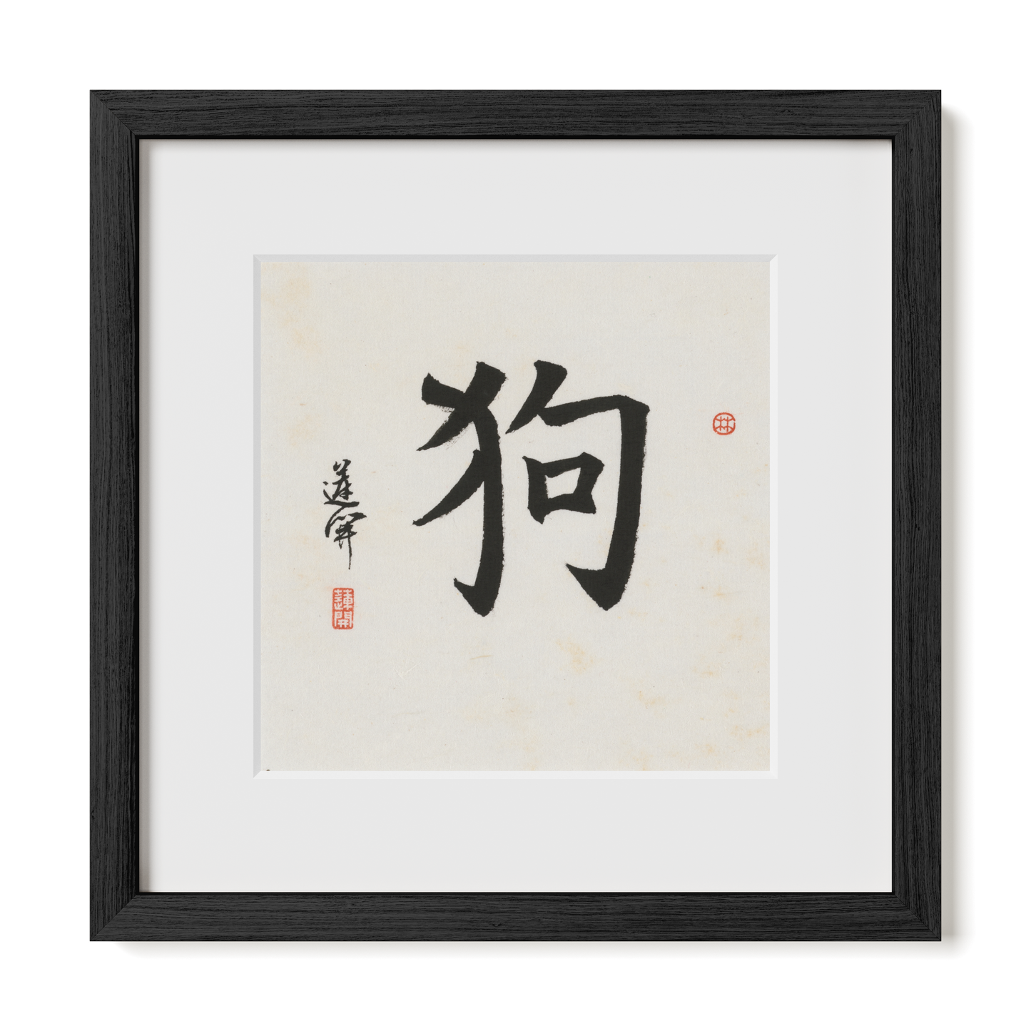 Thumbnail Label: 12X12" Black Premium Oak | Gallery Source: Transparent