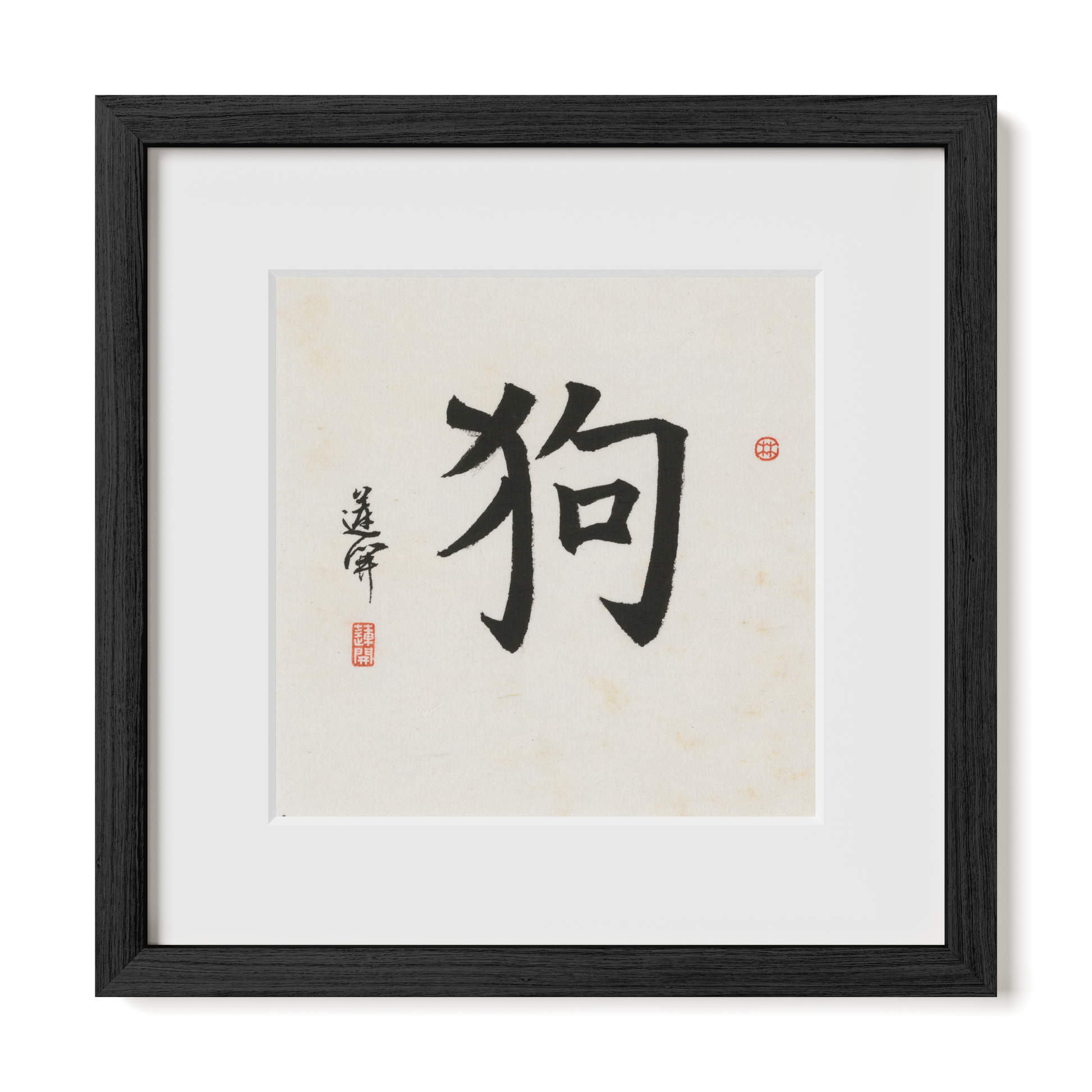 Thumbnail Label: 12X12" Black Premium Oak | Gallery Source: Transparent