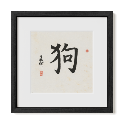 Thumbnail Label: 12X12" Black Premium Oak | Gallery Source: Transparent